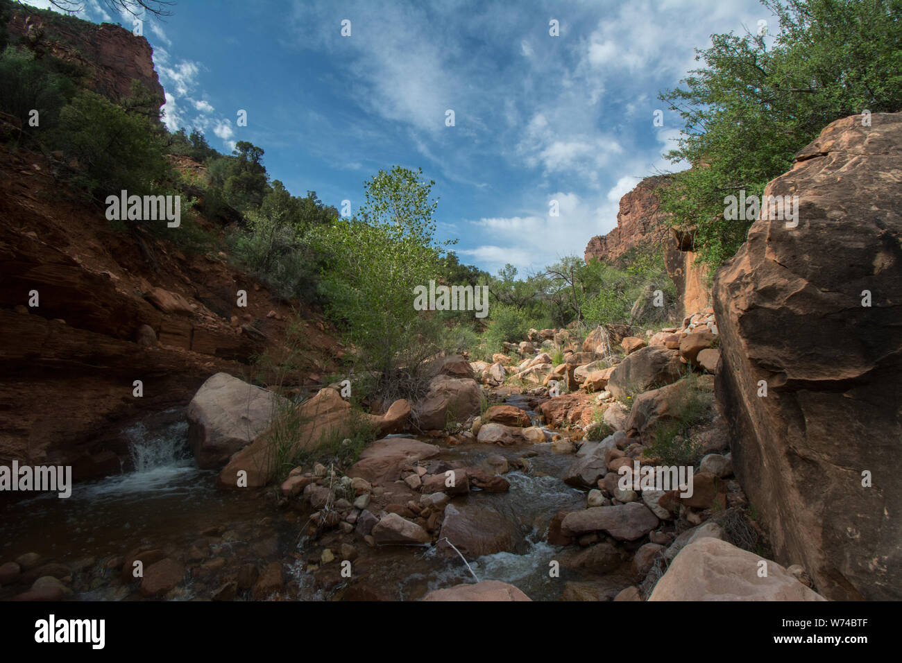 Canyons aux parois rouges dans le comté de Mesa, Colorado, États-Unis. Banque D'Images