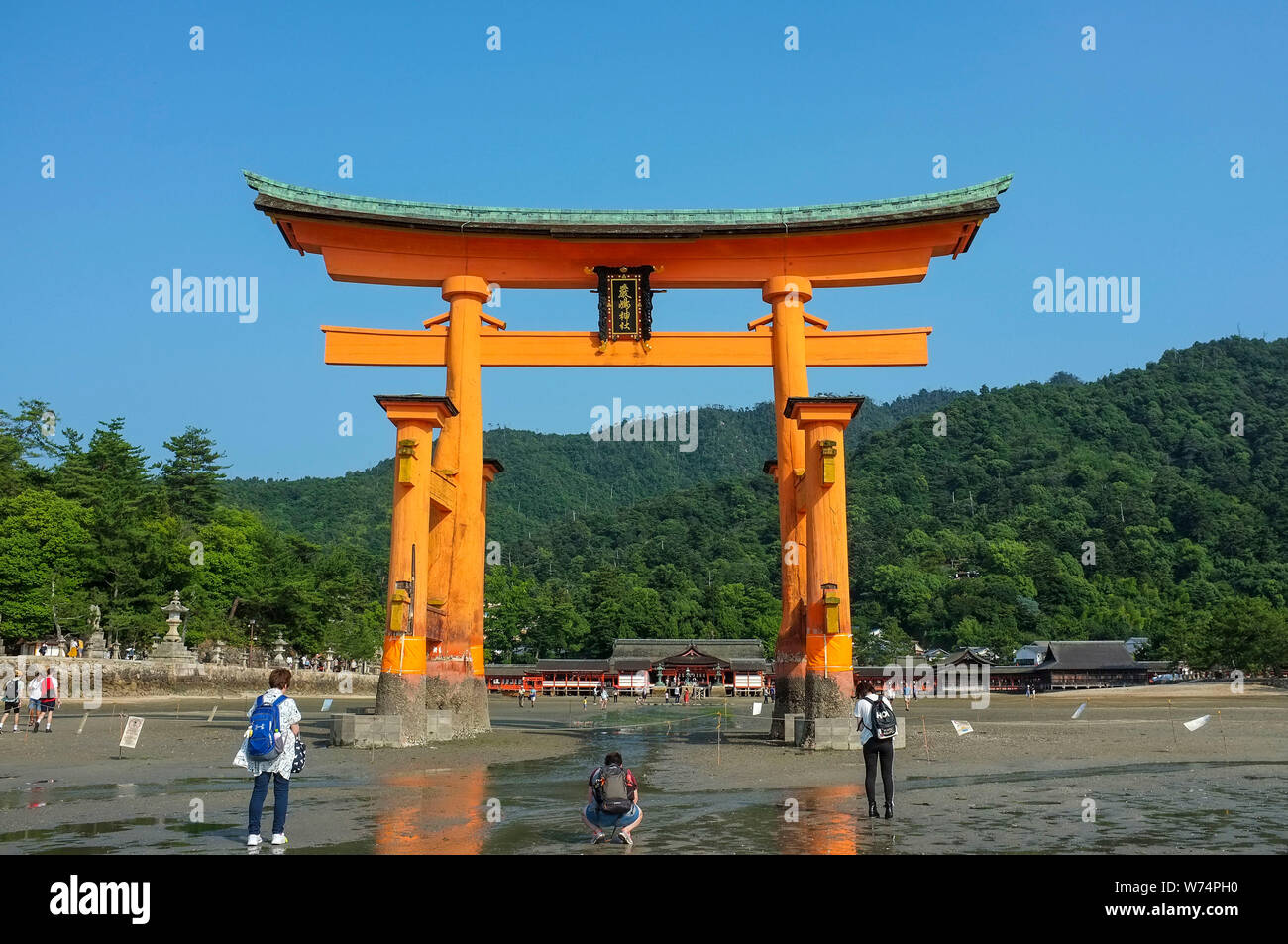 De torii à marée basse sur l'île de Miyajima Itsukushima, au Japon. Banque D'Images