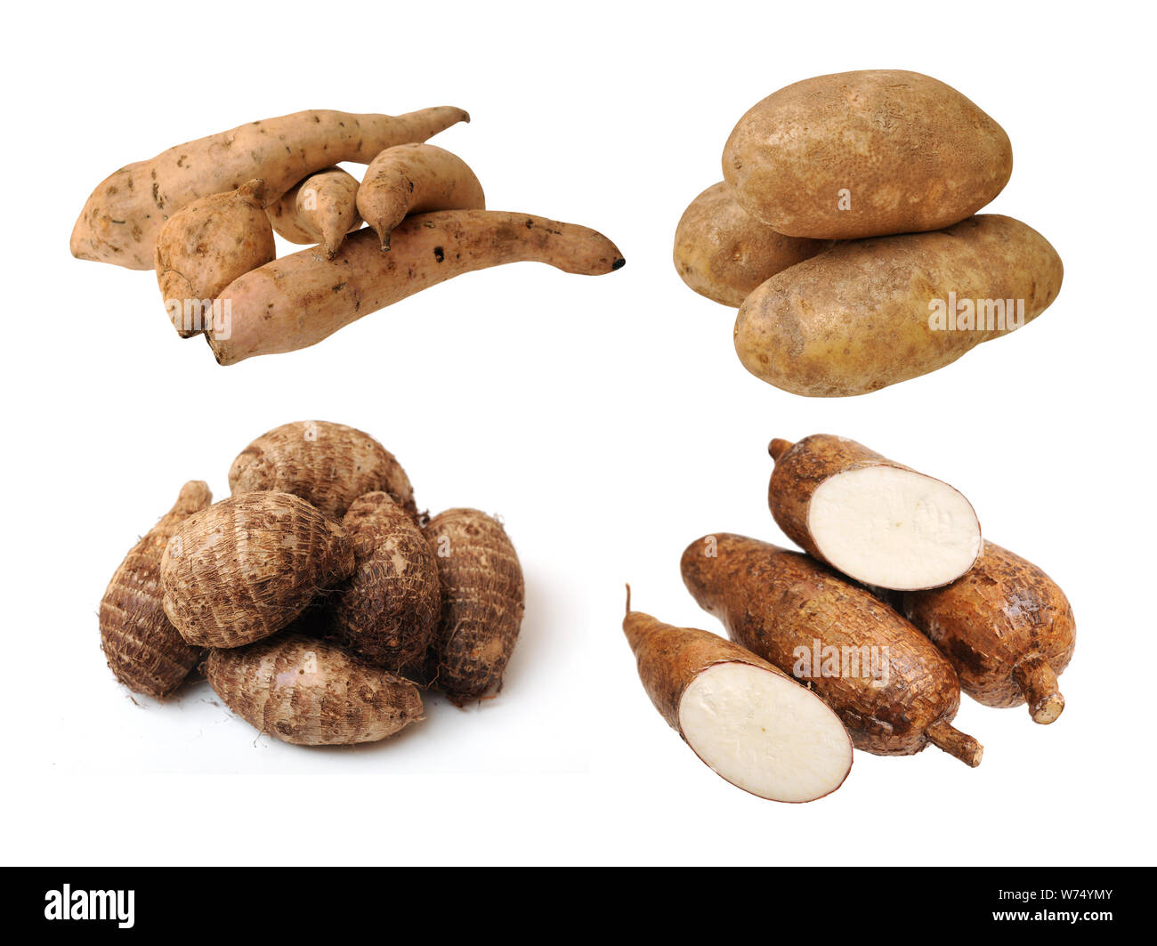 Le Taro Manioc Pommes De Terre Et Patates Douces Isol Sur Fond Blanc le-taro-manioc-pommes-de-terre-et-patates-douces-isol-sur-fond-blanc