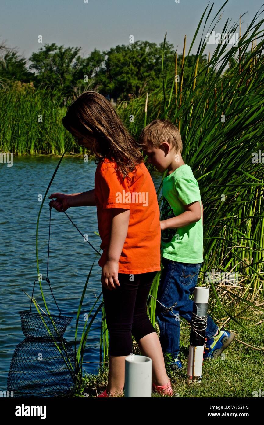 Mes petits-enfants en plaçant la barbue dans Basquit Live, Lindsey City Park Public Fishing Lake, Canyon. Le Texas. Banque D'Images