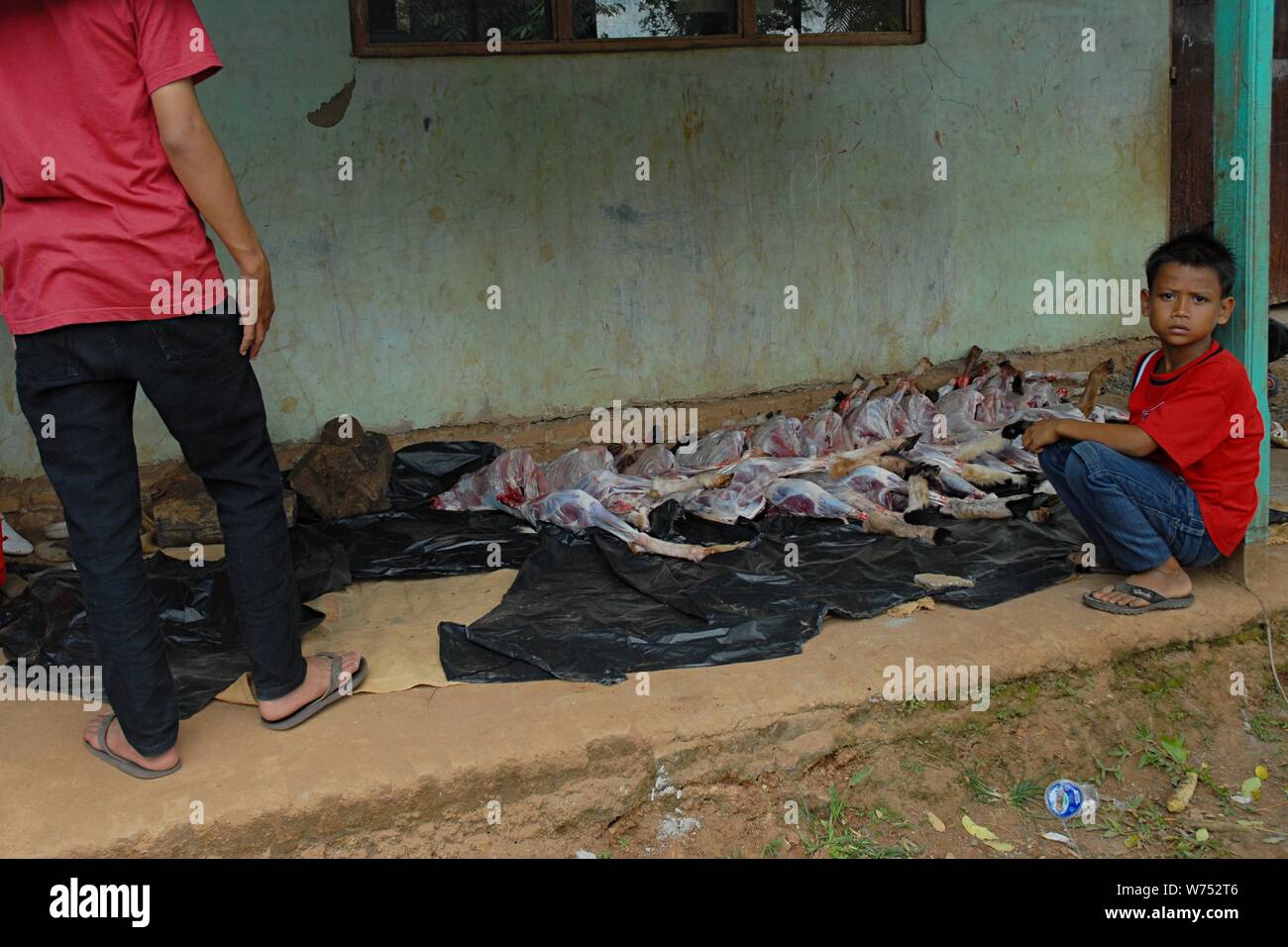 Bogor, Java ouest, Indonésie - Août 2019 : Les gens attendent pour leur don de viande par quota l'éventail d'écorchés d'agneau dans un village sous-développé. Banque D'Images