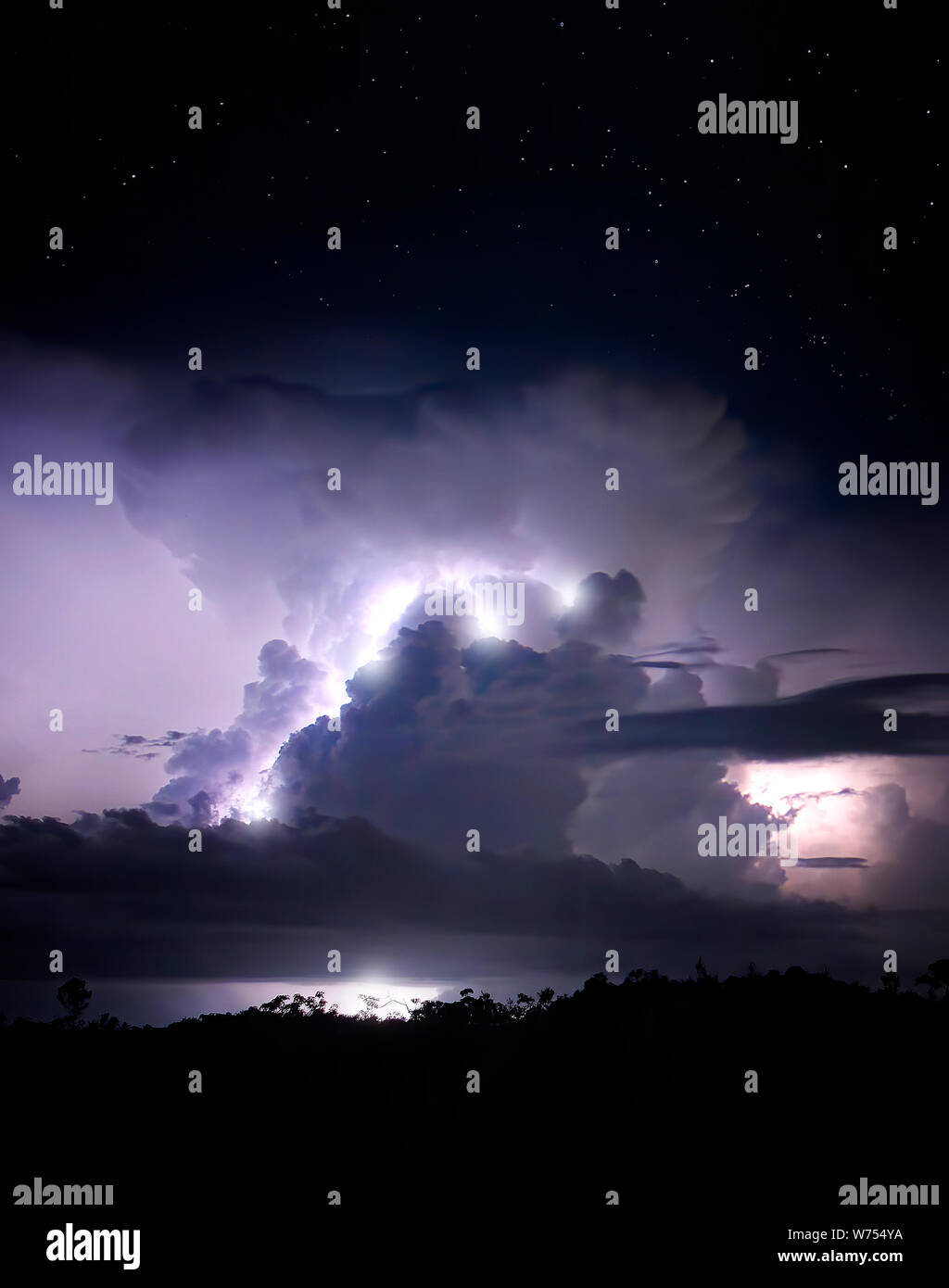 La foudre s'allume les nuages d'un grade au cours d'une tempête nocturne dans le parc national des Everglades. Banque D'Images La foudre s'allume les nuages d'un grade au cours d'une tempête nocturne dans le parc national des Everglades. Banque D'Images