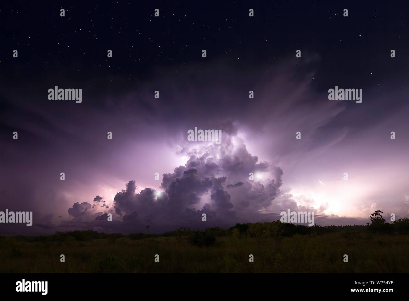 Une impressionnante thunderhead est illuminée de l'intérieur par la foudre pendant un orage dans le parc national des Everglades. Banque D'Images Une impressionnante thunderhead est illuminée de l'intérieur par la foudre pendant un orage dans le parc national des Everglades. Banque D'Images