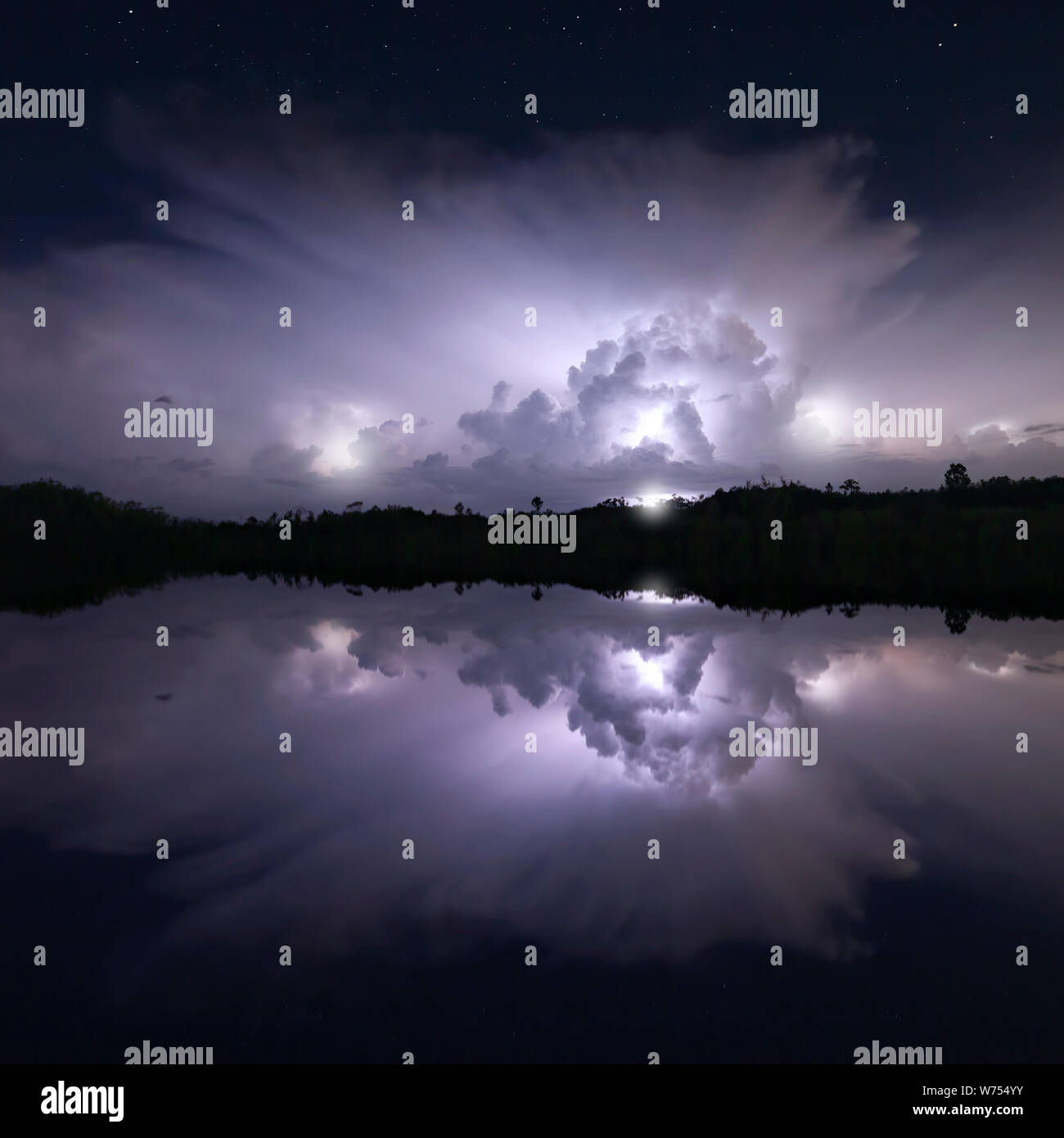 Un grade 1 se reflète dans un lac dans le parc national des Everglades pendant un orage de nuit Banque D'Images Un grade 1 se reflète dans un lac dans le parc national des Everglades pendant un orage de nuit Banque D'Images