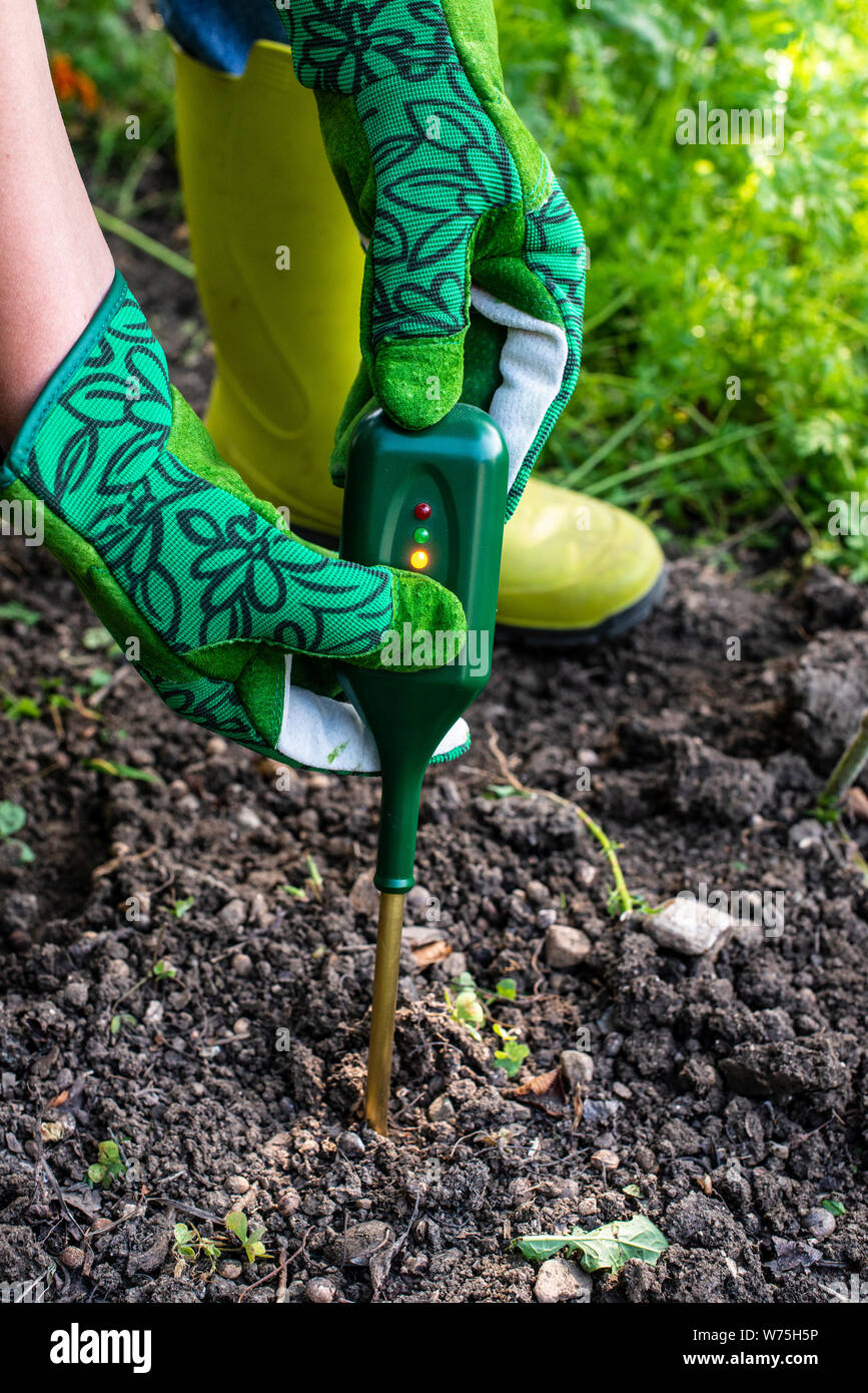 Sol nutriments mètre. Mesurer la teneur en azote du sol avec dispositif numérique. Agricultrice dans un jardin. Concept pour la nouvelle technologie dans l'agriculture. Banque D'Images