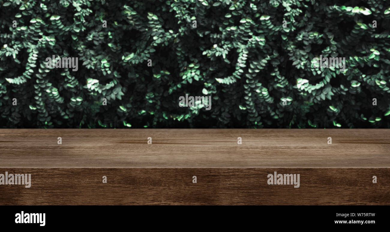 Table en bois avec mur de feuilles vertes fond studio.comptoir en bois brun foncé pour l'affichage des produits concevoir le contenu.vue panoramique bannière pour annoncer produ Banque D'Images