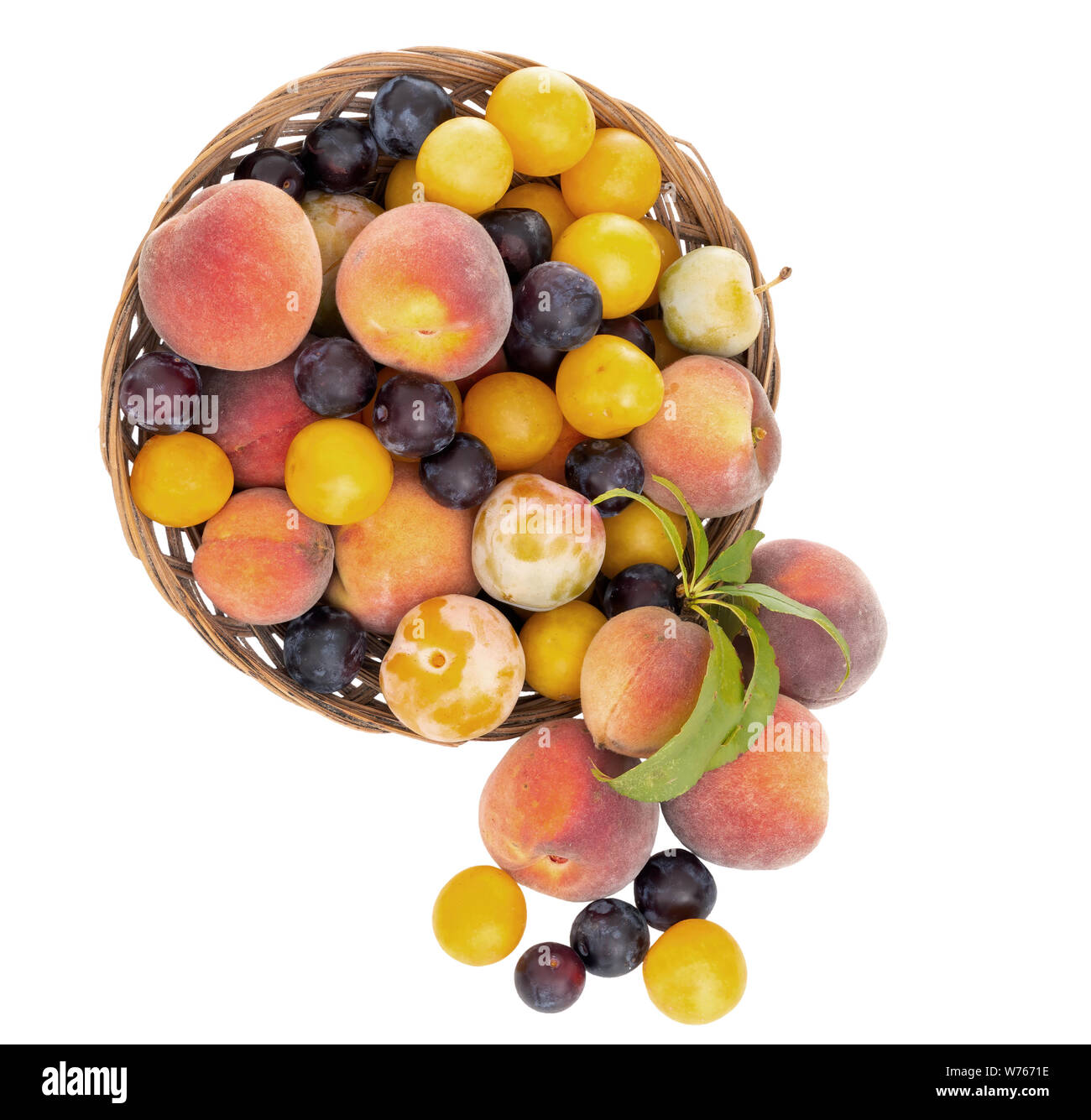 Fruits à l'ancienne à partir d'un verger abandonné depuis longtemps. Petites prunes jaunes, damsons, greengages et petits, doux de pêches. Se nourrissaient de fruits naturels. Isolées. Banque D'Images