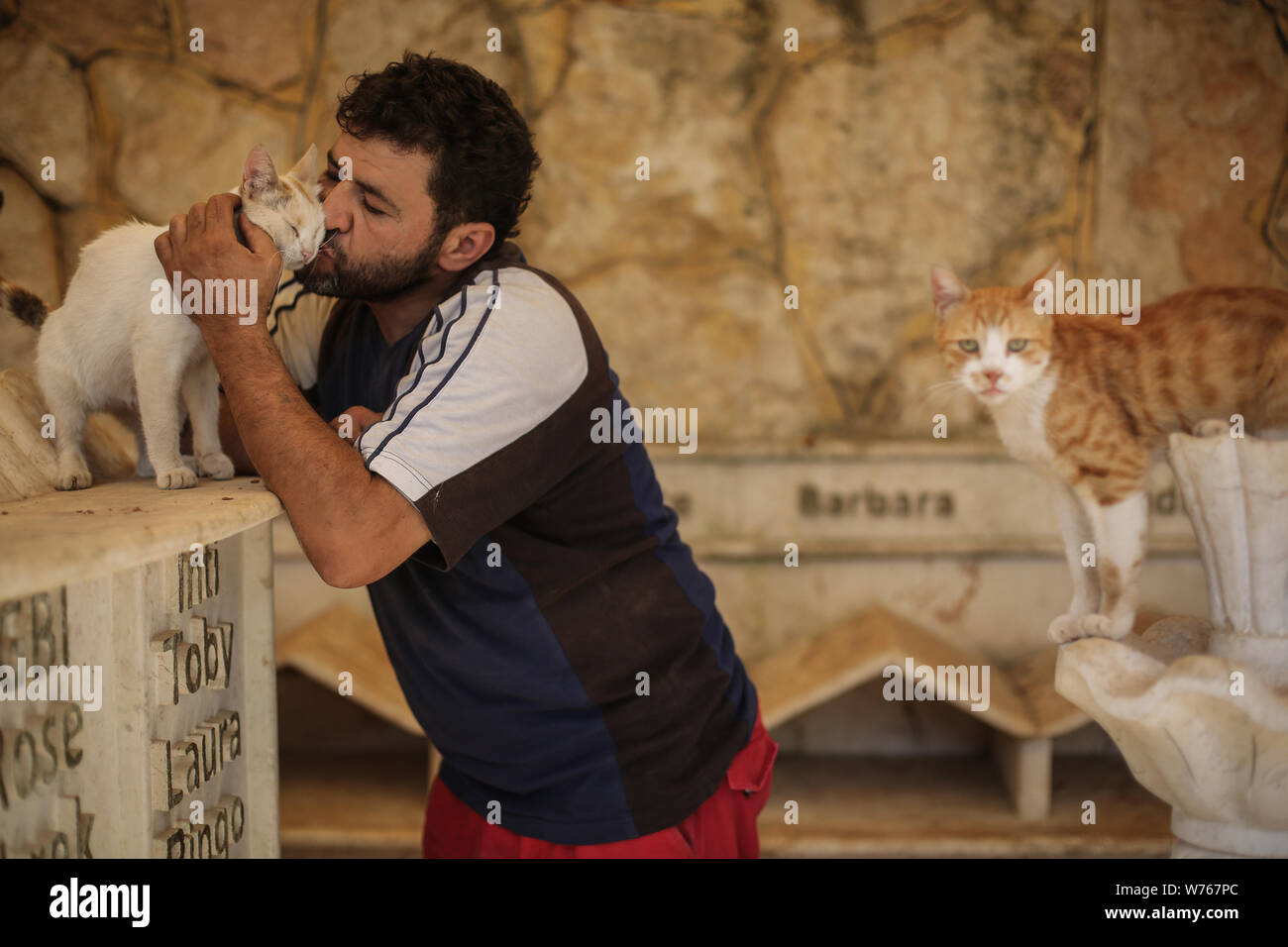 03 Aout 19 La Syrie Alep Mohammed Alaa Al Jaleel Aussi Connu Sous Le Nom De Cat Man D Alep Animaux Un Chat A L Ernesto S Cat Sanctuary Qu Il Execute Dans Kafr Naya Au