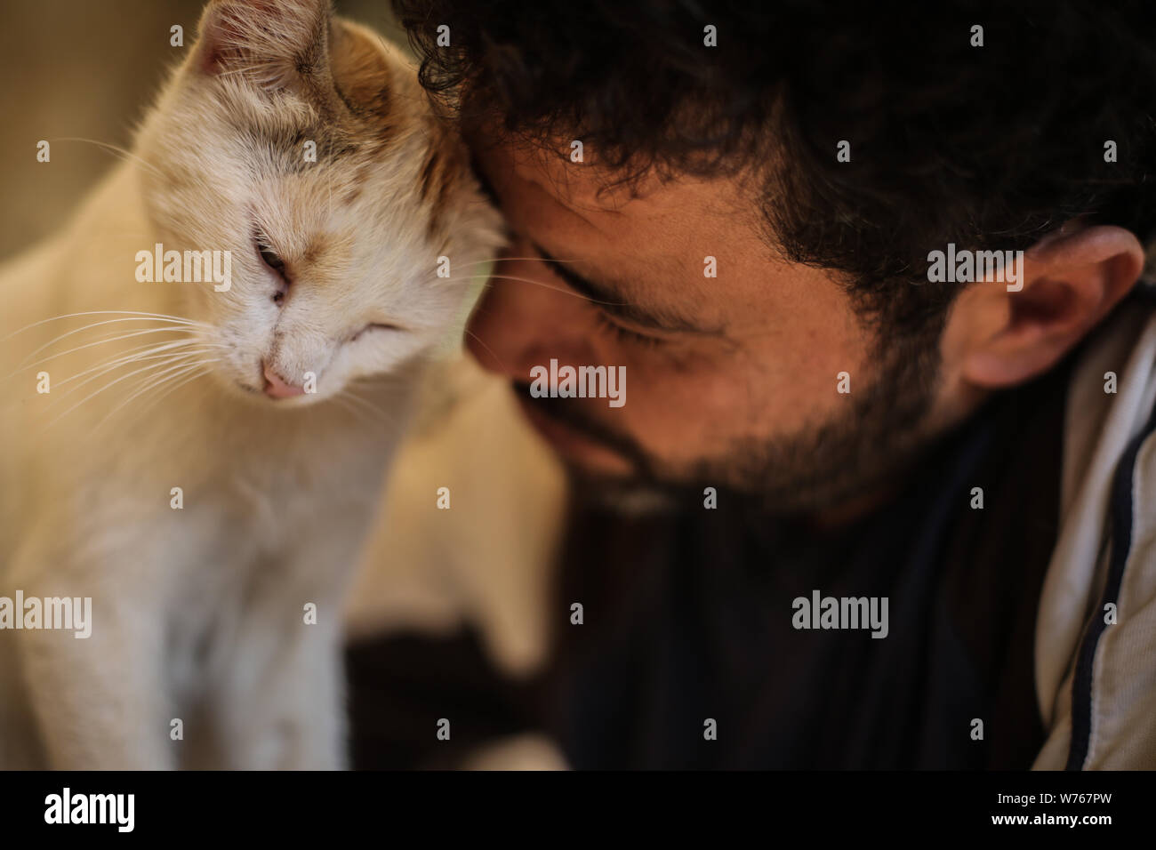 03 Aout 19 La Syrie Alep Mohammed Alaa Al Jaleel Aussi Connu Sous Le Nom De Cat Man D Alep Animaux Un Chat A L Ernesto S Cat Sanctuary Qu Il Execute Dans Kafr Naya Au