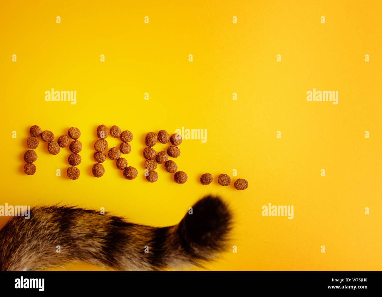 Nourriture Pour Chat Sur Fond Jaune Dans Parole De Chat Ronronnant Mrr Vue D En Haut Pres De La Queue Du Chat Photo Stock Alamy