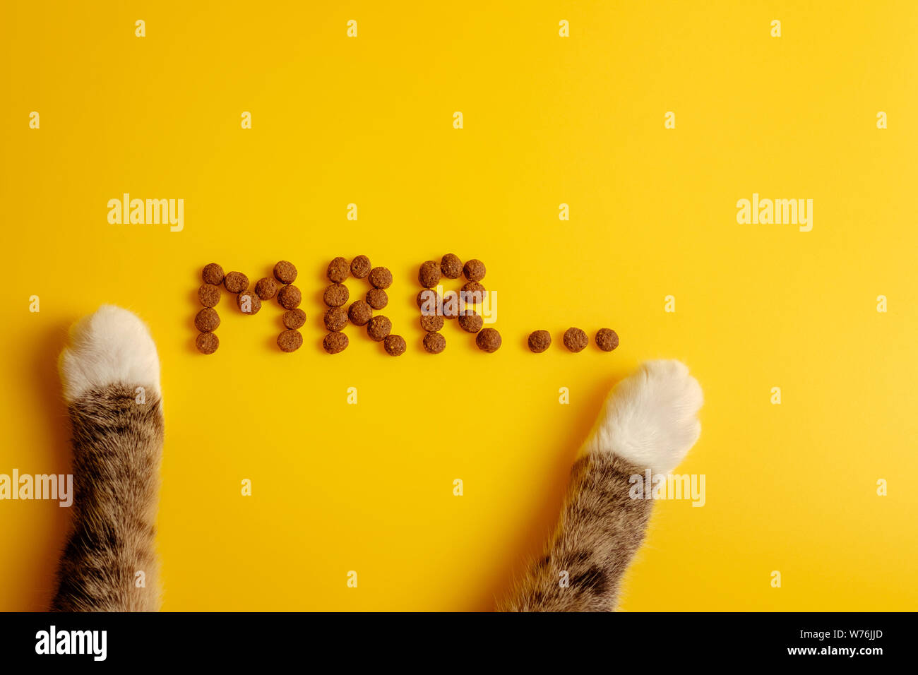 Nourriture Pour Chat Sur Fond Jaune Dans Parole De Chat Ronronnant Mrr Vue D En Haut Pattes De Chat Photo Stock Alamy