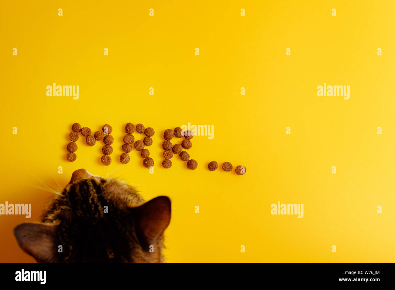 Nourriture Pour Chat Sur Fond Jaune Dans Parole De Chat Ronronnant Mrr Top View Cat Vole La Nourriture Photo Stock Alamy