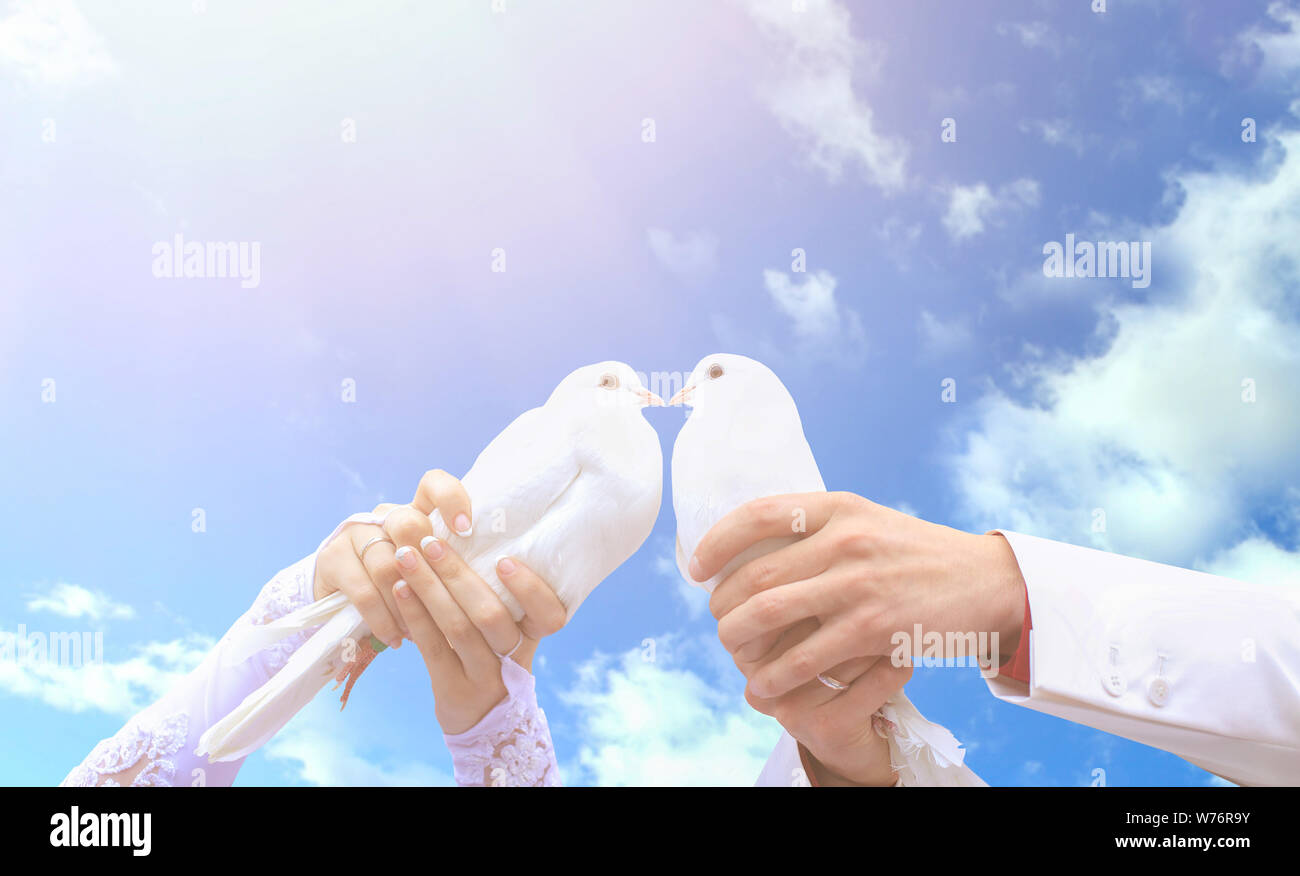 Pigeons sur le mariage dans les mains des jeunes Banque D'Images