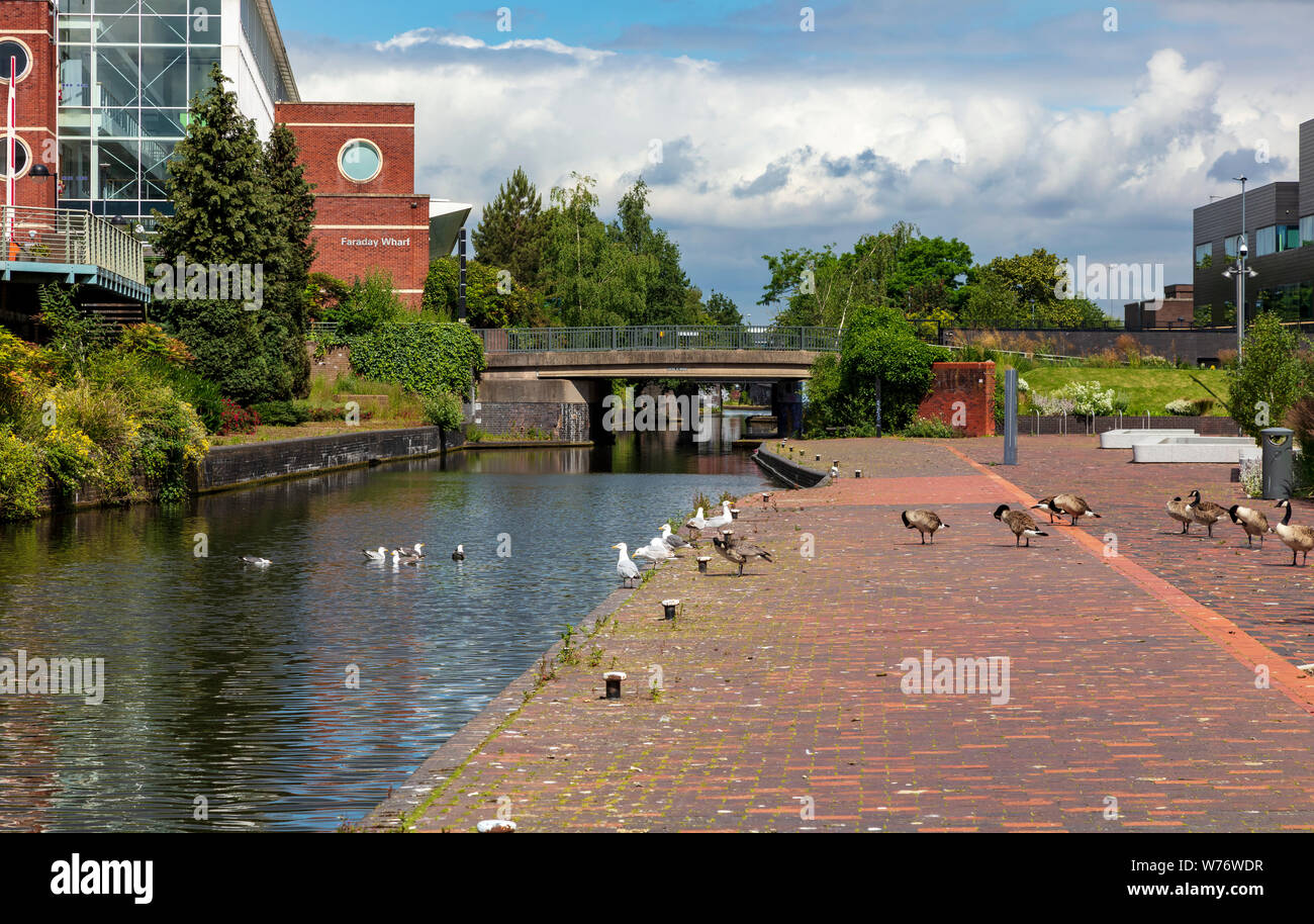 La Direction générale de l'attrayant Digbeth Canal en Aston, bordée de bâtiments de l'université et collège ainsi que des bureaux, la vie sauvage est abondante, Birmingham, UK Banque D'Images