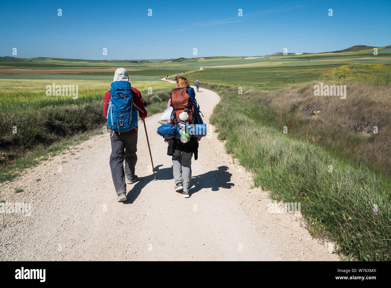 Pèlerins vu de derrière avec un sac à dos sur le Camino Frances, Chemin de Saint Jacques, entre Hontanas et Fromista, Castille et León, Castilla y Leon. Banque D'Images