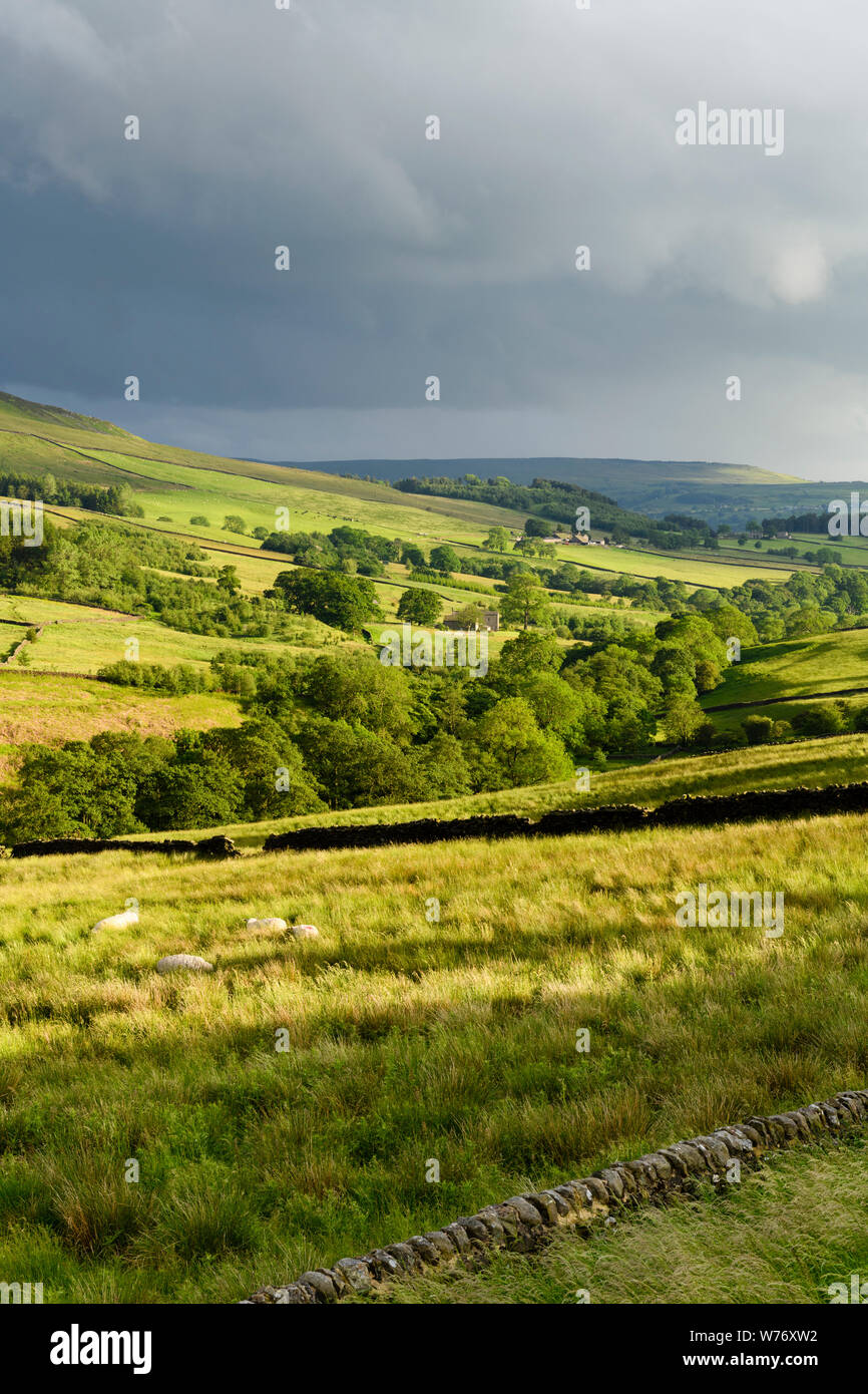 Ciel nuageux sombre & long-distance soirée pittoresque vue de Wharfedale (collines, de verts pâturages, sunlit valley) - du Yorkshire, England, UK. Banque D'Images