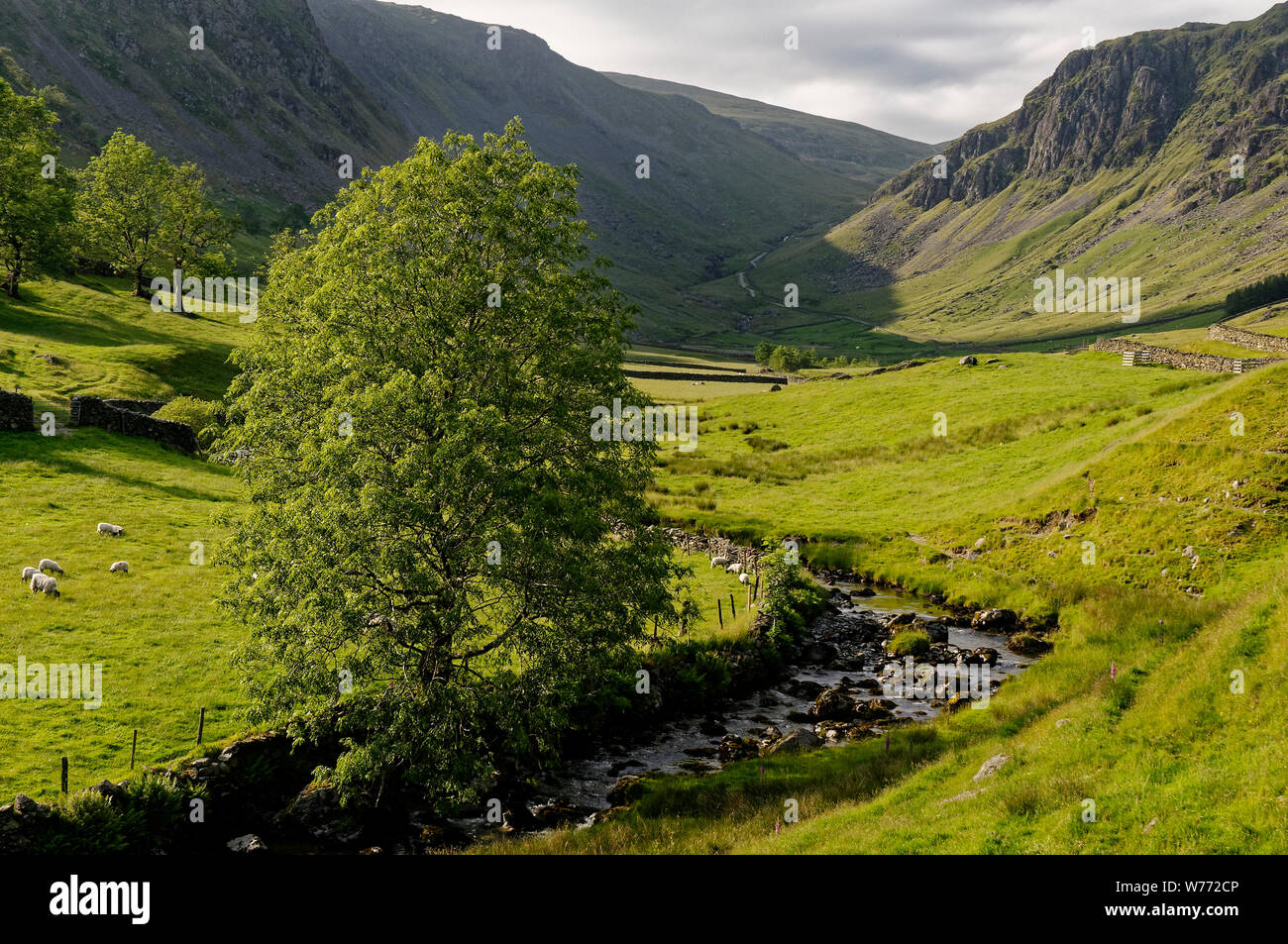 Longsleddale Valley, Lake District, Angleterre Banque D'Images