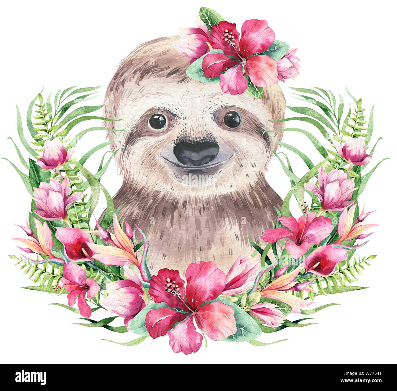 Bebe Paresse Banque D Image Et Photos Alamy