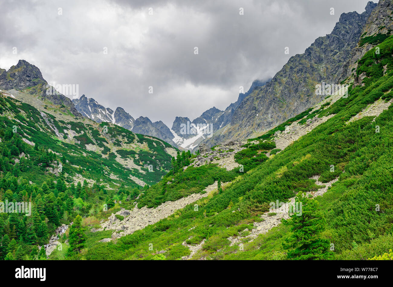 Un chemin dans une forêt dans les Tatras en Slovaquie. L'Europe. Banque D'Images