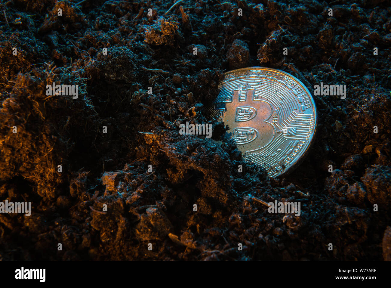 Crypto minière Bitcoin - monnaie. Pièce d'argent en ligne dans le sol de terre. La monnaie numérique, bloc, marché de la chaîne d'affaires en ligne Banque D'Images