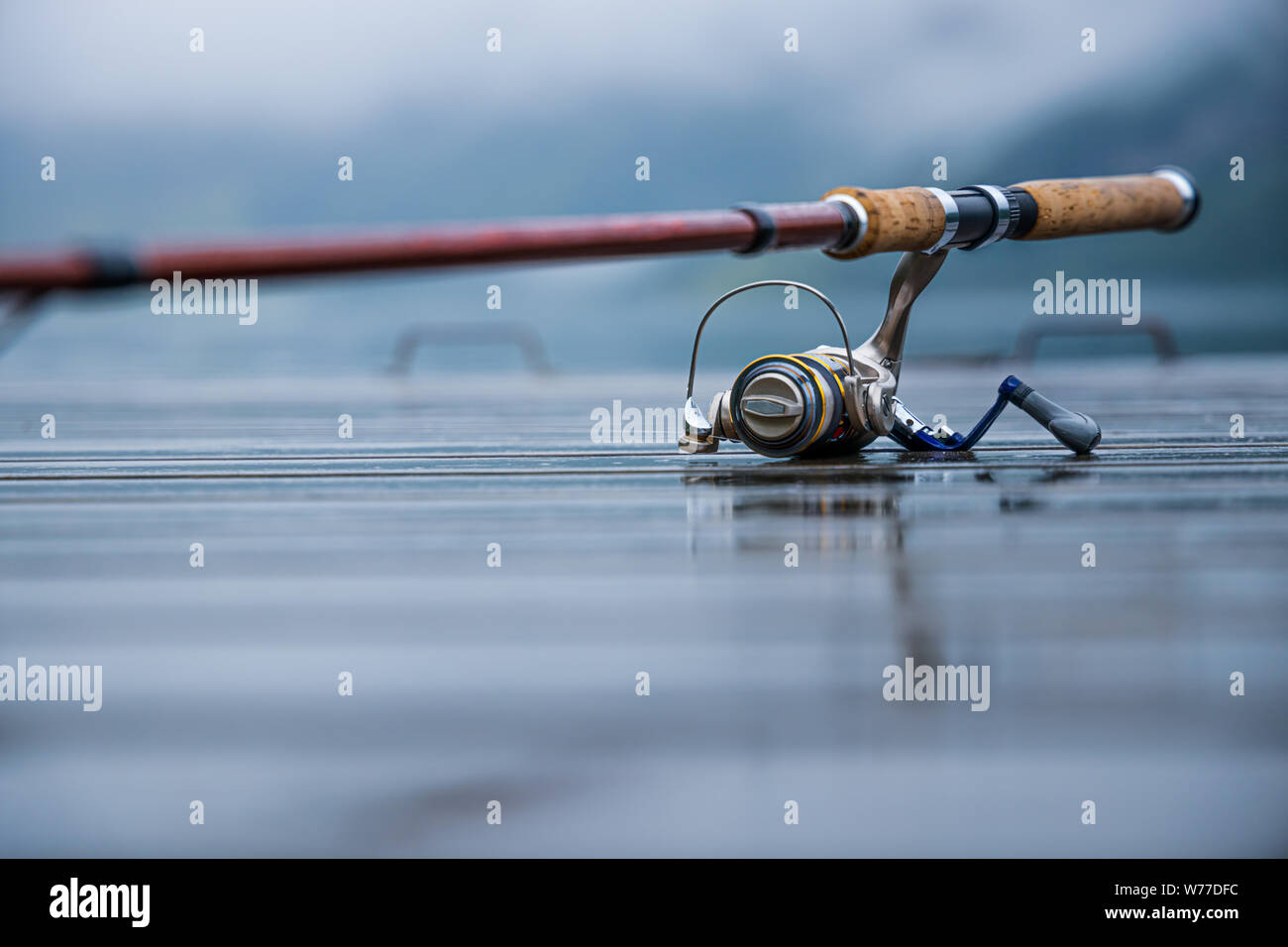 Spinning canne à pêche arrière-plan flou Banque D'Images