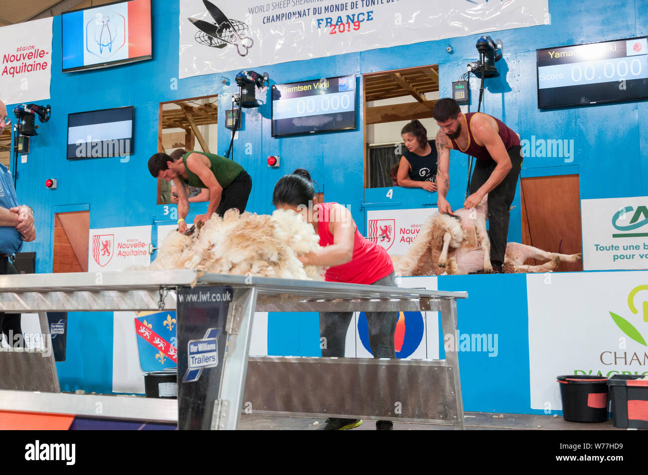 Championnats du monde de TONTE DE MOUTONS France 2019 manutentionnaires laine Banque D'Images