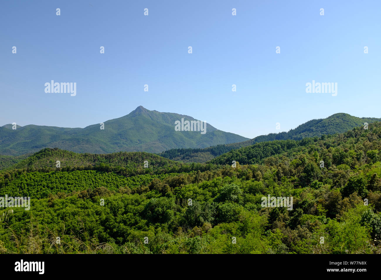 Paysage de montagne verte sur fond bleu ciel d'été dans les Pyrénées, la Catalogne Banque D'Images