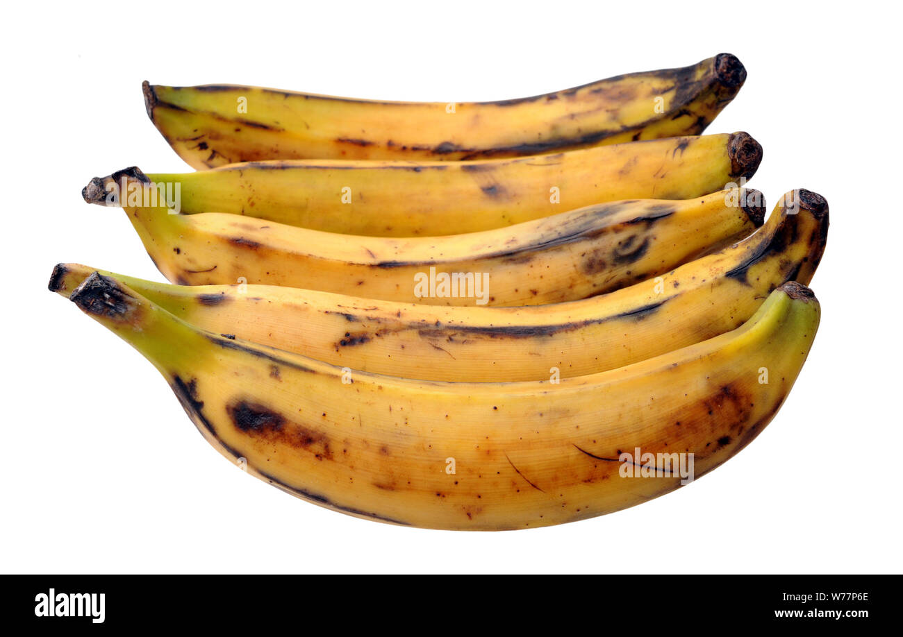 La banane plantain (très doux et délicieux lorsque la vapeur ou grill) Banque D'Images