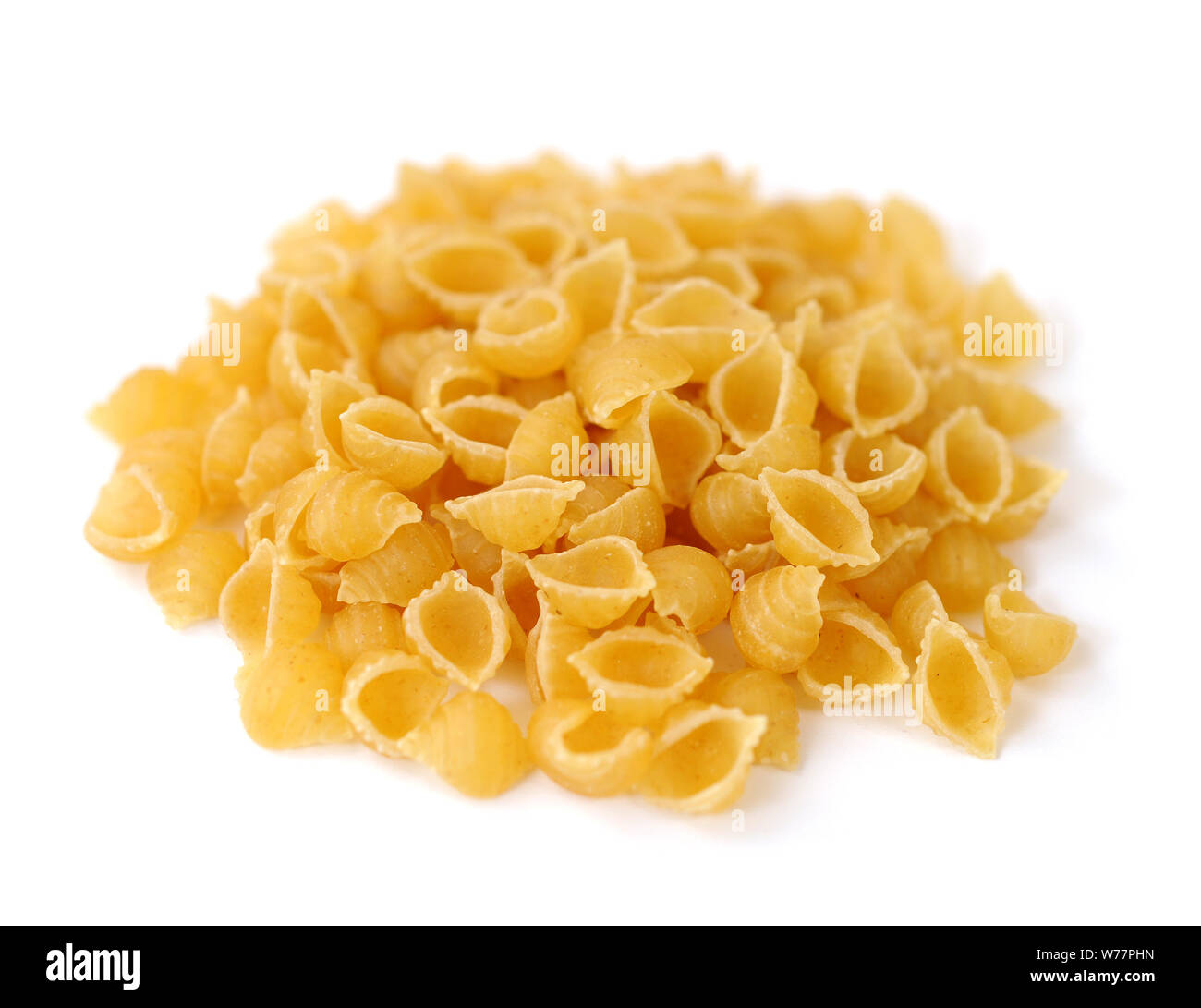 La forme de la coquille des pâtes sur fond blanc Banque D'Images