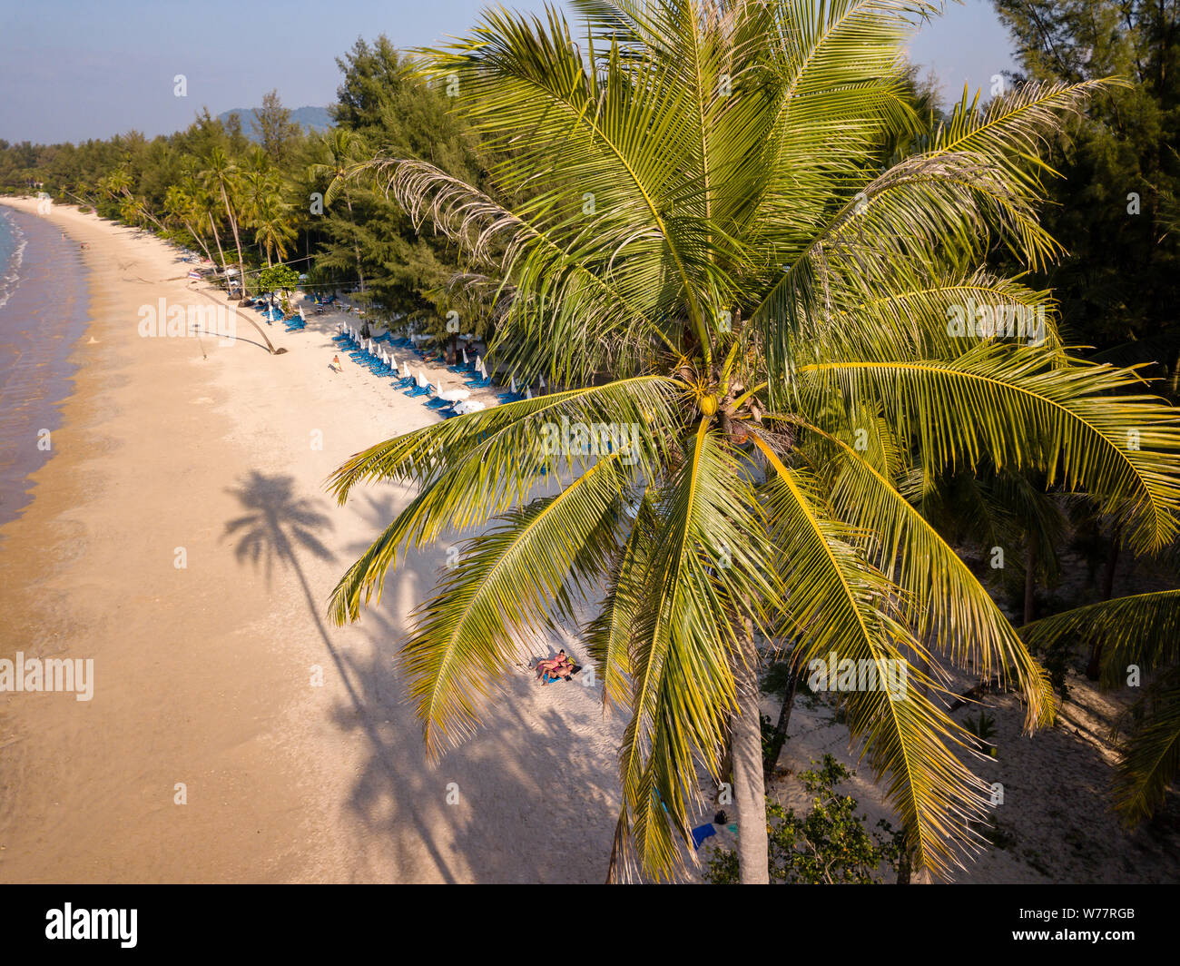 Vue aérienne de drone d'ombre d'un palmier jeté sur une belle plage tropicale, vide Banque D'Images