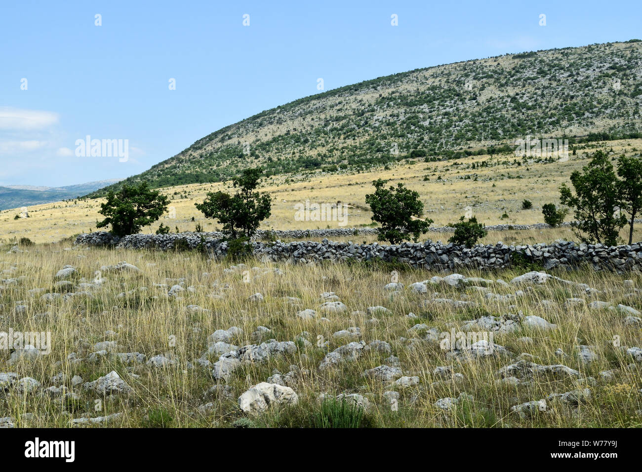 Alpes dinariques typique paysage kras avec murs en pierre sèche. Banque D'Images