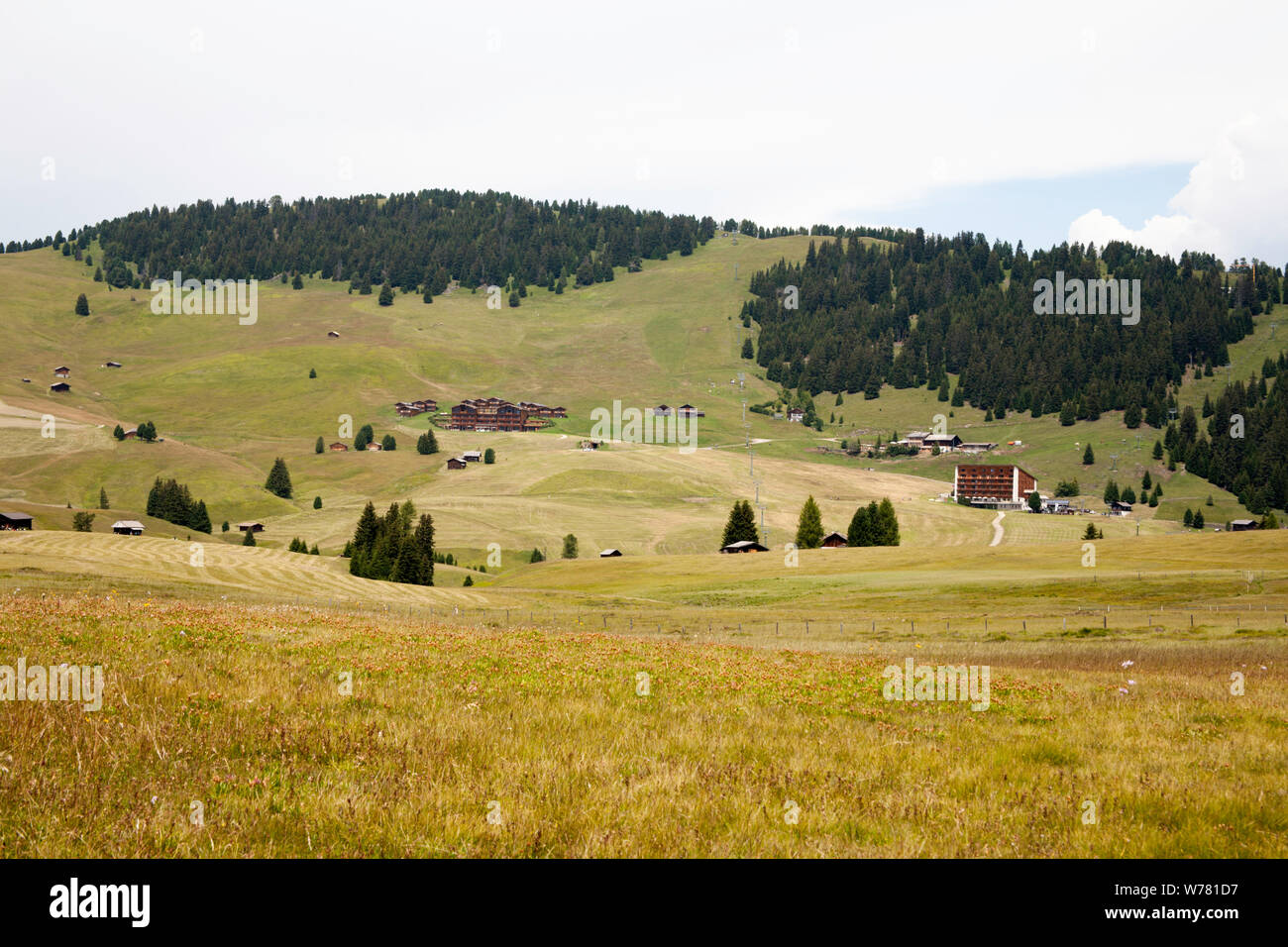 Prairies de fauche près de l'Alpe di Siusi Selva di Val Gardena Dolomites Tyrol du Sud, Italie Banque D'Images