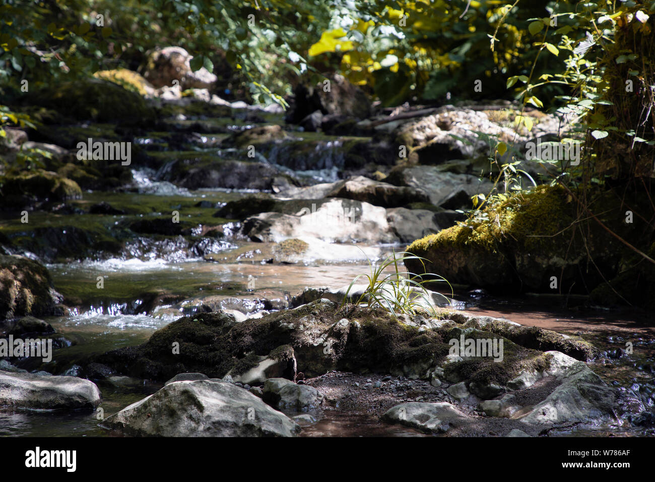 Le Parc National de TARA, la Serbie - les chutes et rapides d'un torrent de montagne Banque D'Images