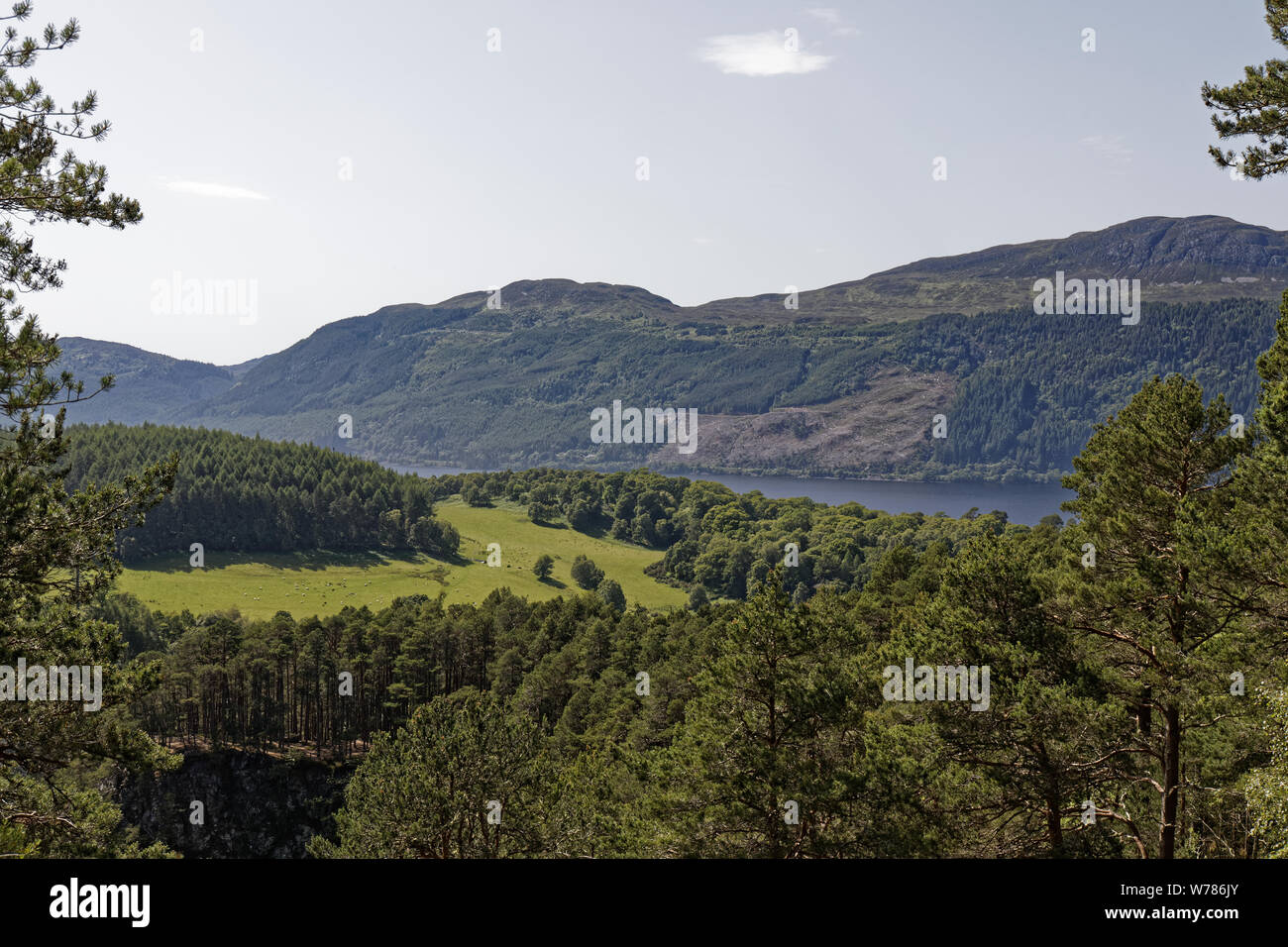 Tombe de foyers (près du Loch Ness) - Inverness, Highlands, Scotland, United Kingdo Banque D'Images