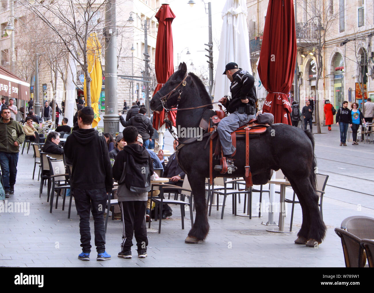 Un cheval Belge noir utilisé par la Police israélienne s'élève à près de l'attention des piétons sur la rue Jaffa de Jérusalem. Banque D'Images