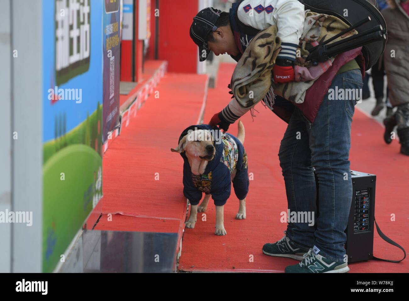 Le Labrador portant un manteau avec un QR code de service de paiement mobile WeChat Payer à quémander de l'argent est photographié avec son propriétaire Tao Tao, un chanteur de rue, Banque D'Images