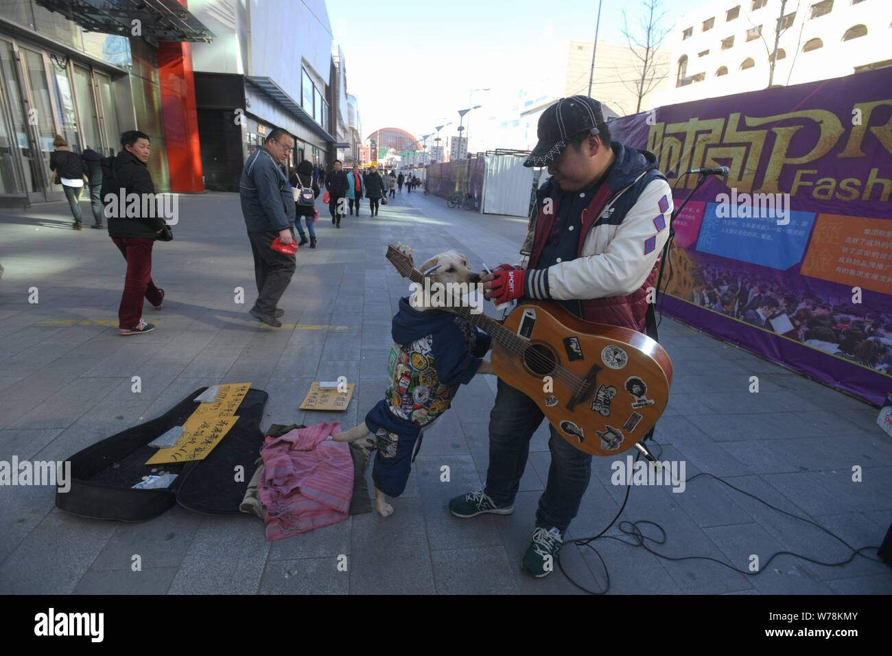 Le Labrador portant un manteau avec un QR code de service de paiement  mobile WeChat Payer à quémander de l'argent est photographié avec son  propriétaire Tao Tao, un chanteur de rue Photo