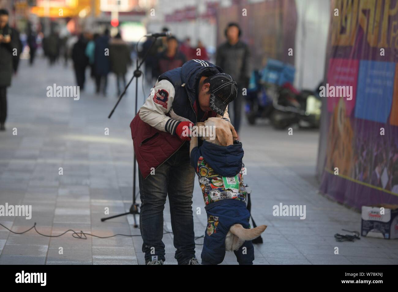 Le Labrador portant un manteau avec un QR code de service de paiement mobile WeChat Payer à quémander de l'argent est photographié avec son propriétaire Tao Tao, un chanteur de rue, Banque D'Images