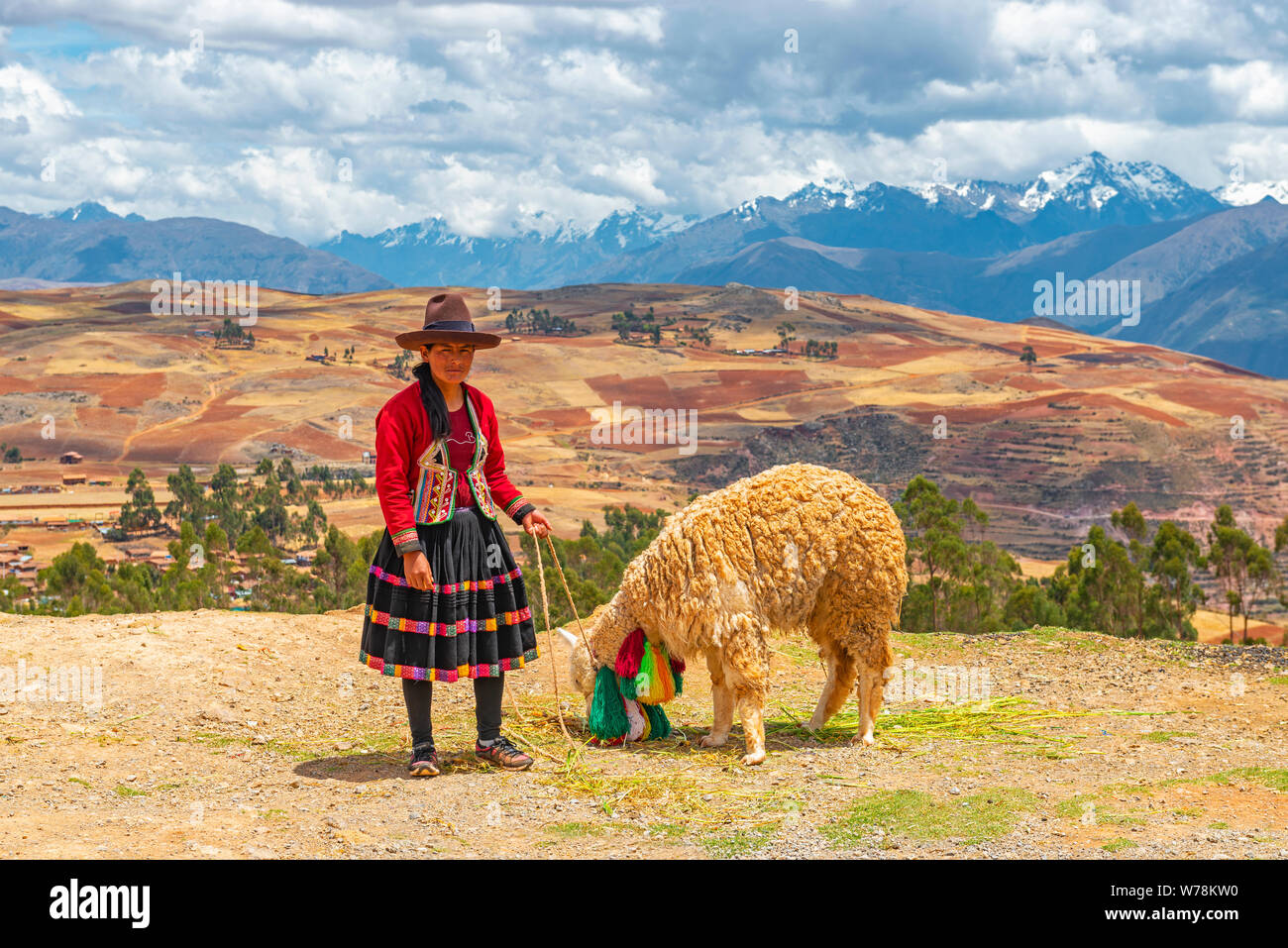 Femme Quechua avec un alpaga de manger de la paille dans la vallée sacrée des Inca, Cusco, Pérou. Banque D'Images