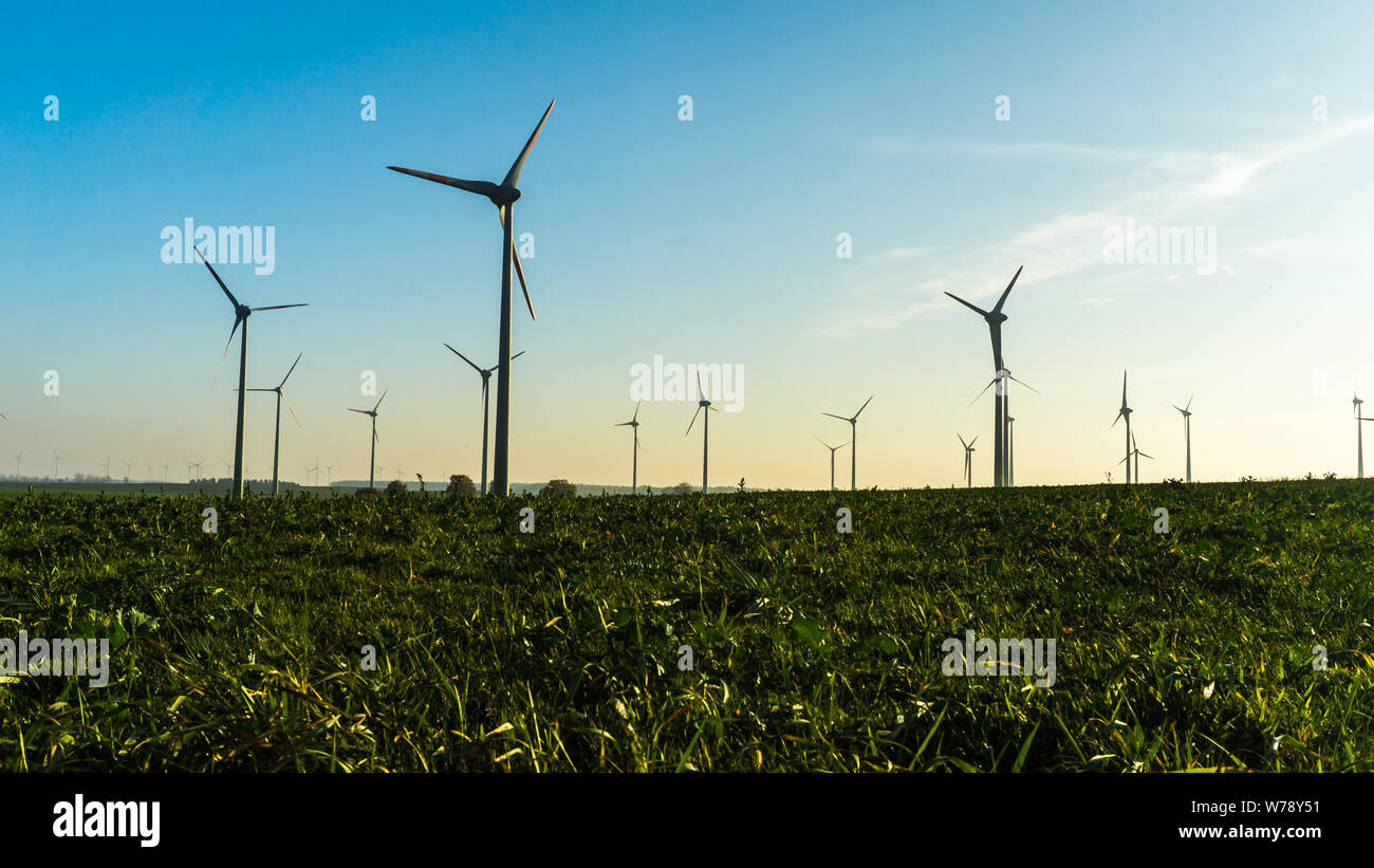 Paysage avec des éoliennes sur un champ Banque D'Images