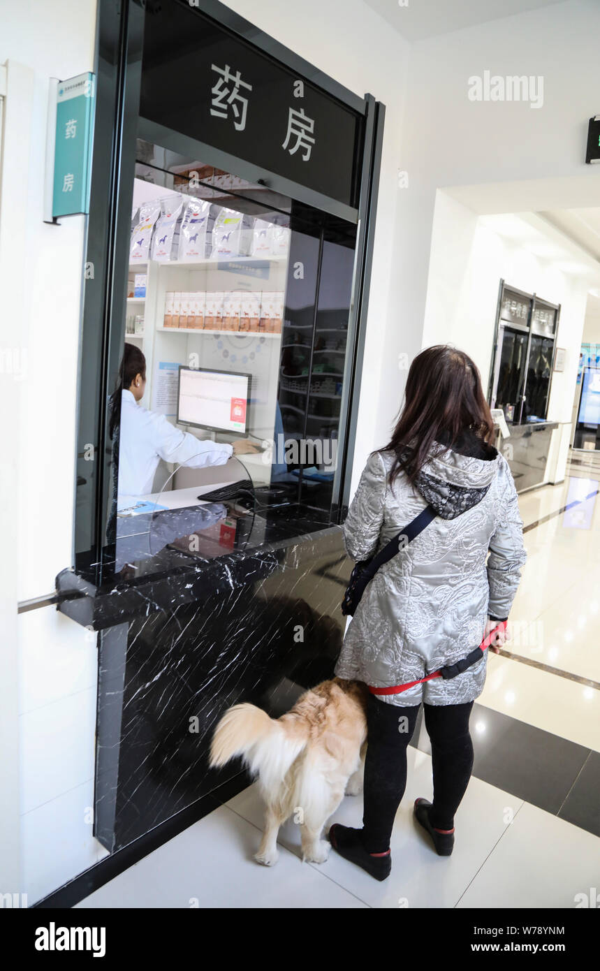 Le propriétaire attend d'obtenir des médicaments pour son chien dans un hôpital pour animaux de compagnie à Shenyang city, Liaoning Province du nord-est de la Chine, 15 novembre 2017. Animaux domestiques ont été Banque D'Images