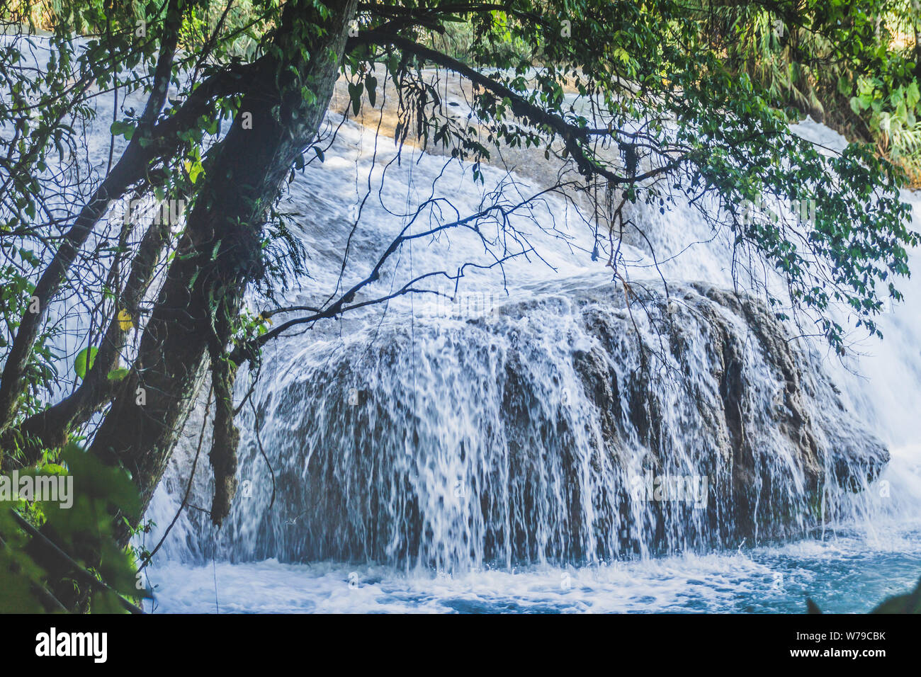 Détail de la cascade de cascadas de Agua Azul au Chiapas au Mexique Banque D'Images