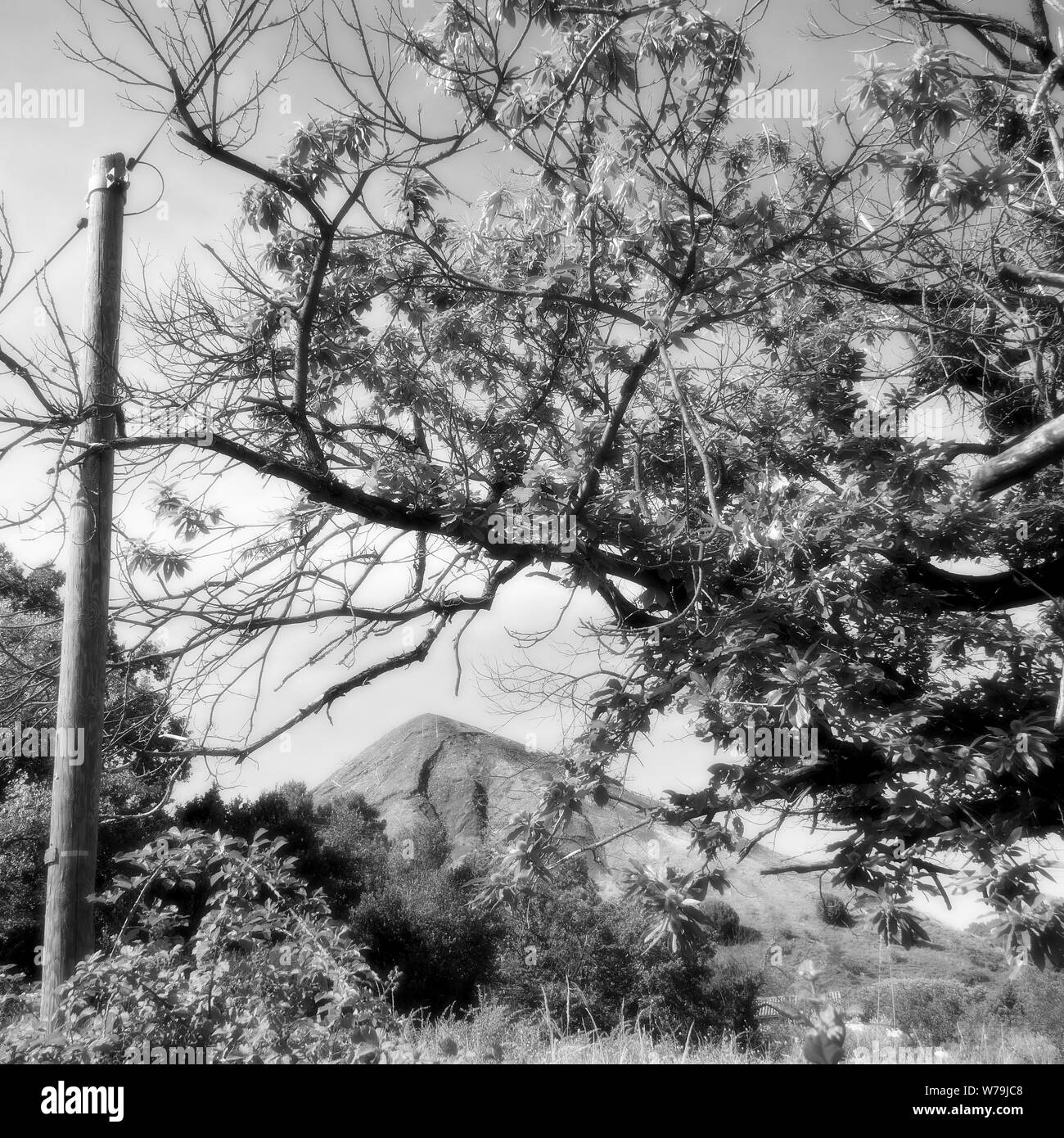 Le crassier - le tas -, dernière demeure des quatre mines de charbon fermées, Alès, Gard, France Banque D'Images