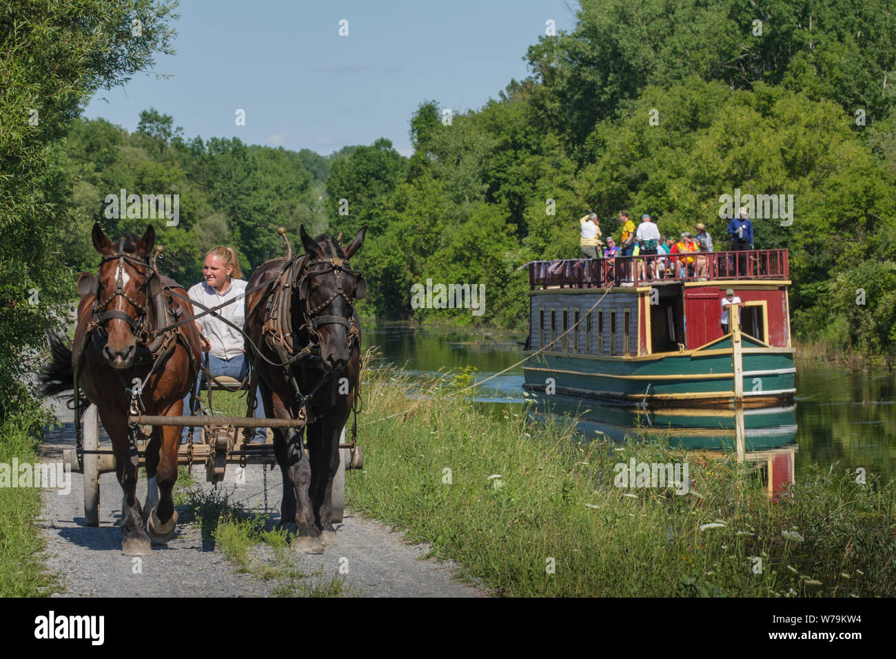Chevaux tirant packet boat, Erie Canal Village, Rome, New York, Oneida Comté Banque D'Images