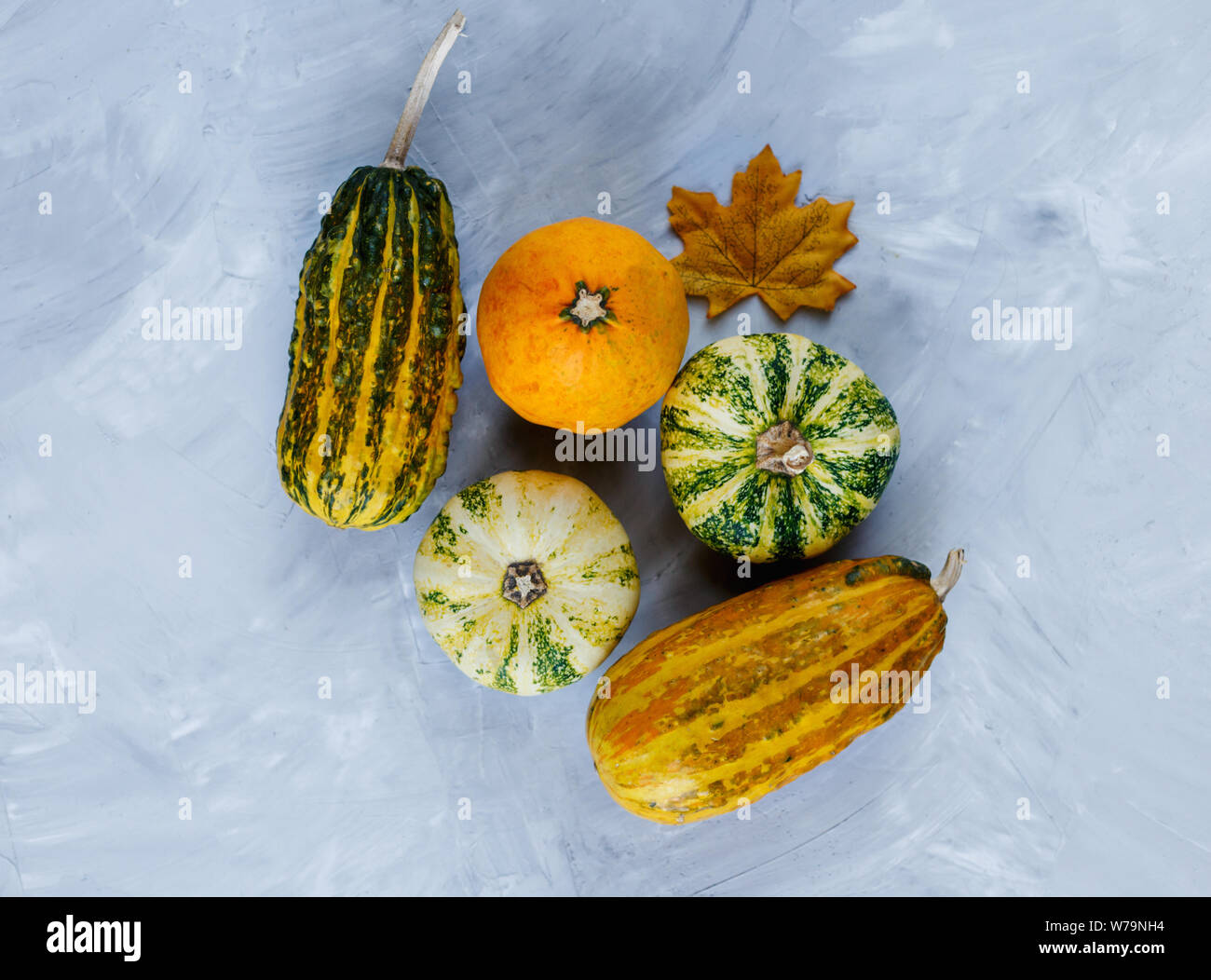 Thanksgiving Day journée composition de légumes et fruits sur fond gris. Concept la récolte d'automne. Les citrouilles, les poires, les prunes, les pommes de table, vue d'en haut, Banque D'Images