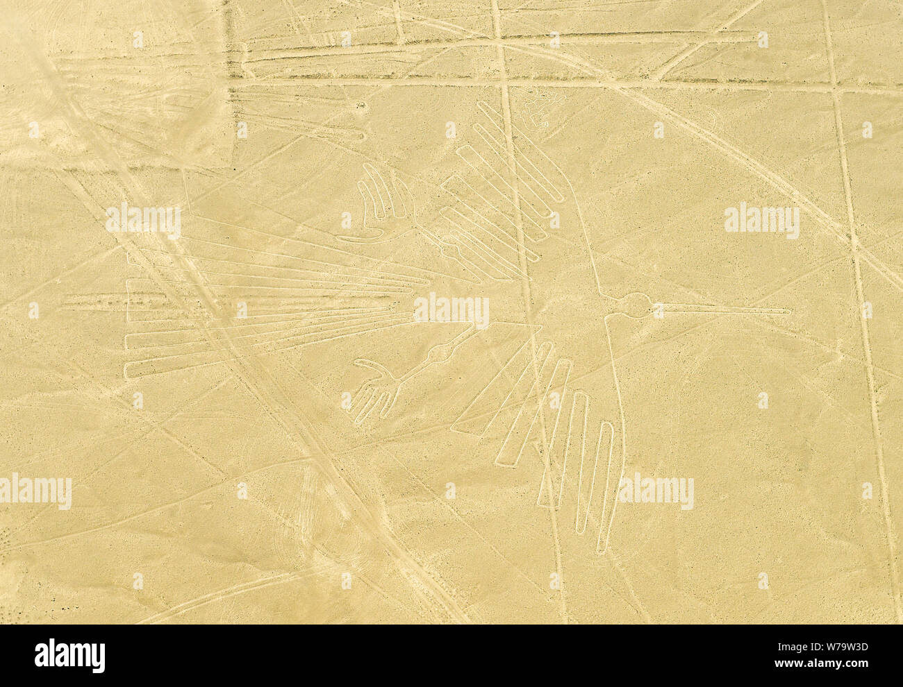 La figure de géoglyphe de Condor dans le désert côtier péruvien connu sous le nom de lignes mystérieuses de Nazca, désert de Nazca, Pérou. Banque D'Images