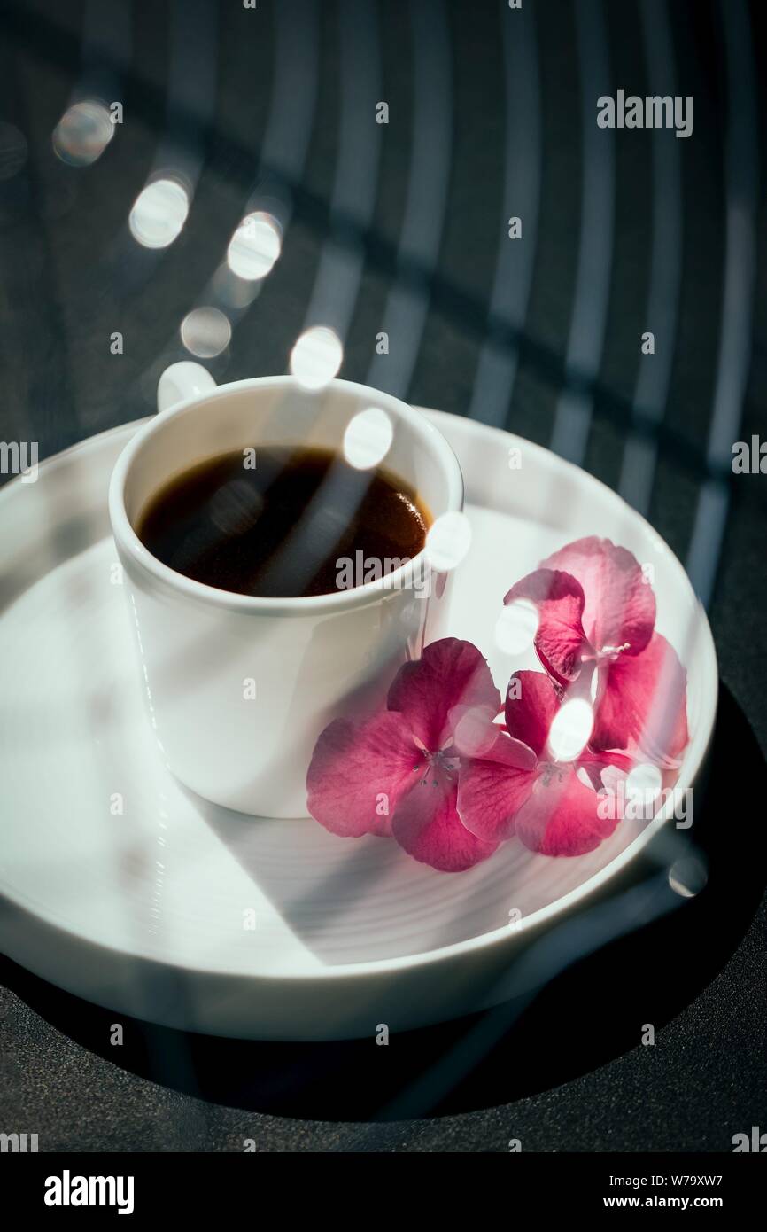 Café noir dans une tasse blanche et belle pink hydrangea ou hortensia  fleurs. D OMBRE Photo Stock - Alamy