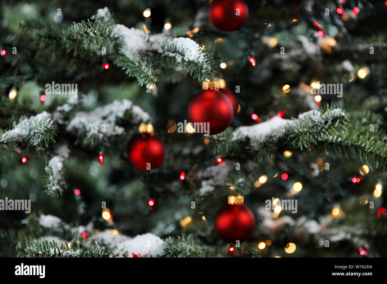 Arbre de Noël lumineux décoré de la neige et des ornements de red ball Banque D'Images