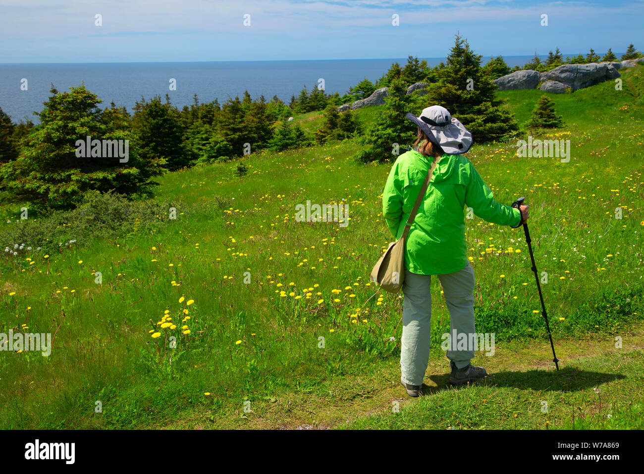 Vue le long sentier du phare de Cow Head, Cow Head, Terre-Neuve et Labrador, Canada Banque D'Images