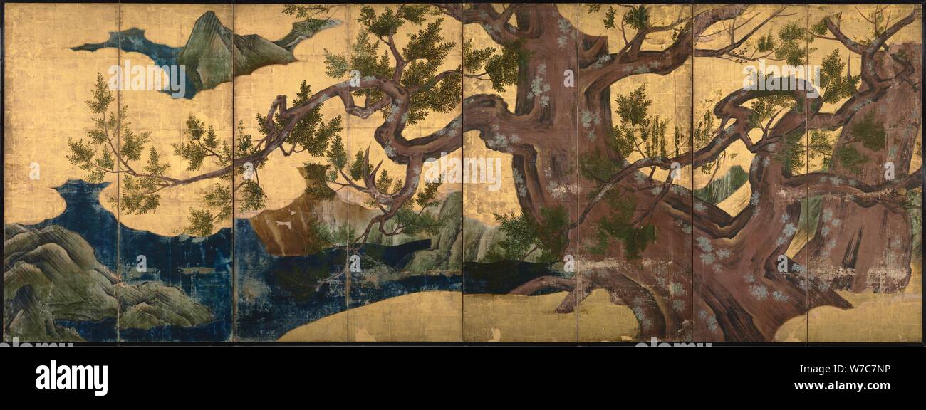 Cyprès (8), 1590 L'écran replié. Artiste : Kano Eitoku, (1543-1590) Banque D'Images